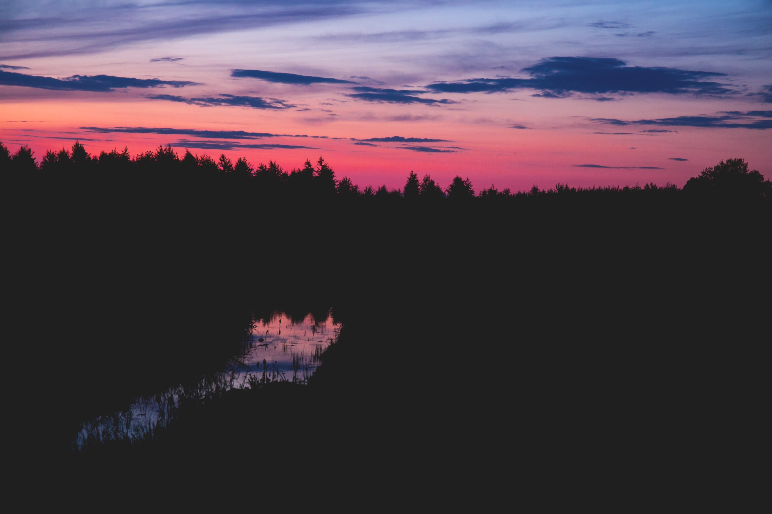 a forest silhouetted against a red hued sky during sunset in suchawa, forest under red sky 4k, HD Wallpaper
