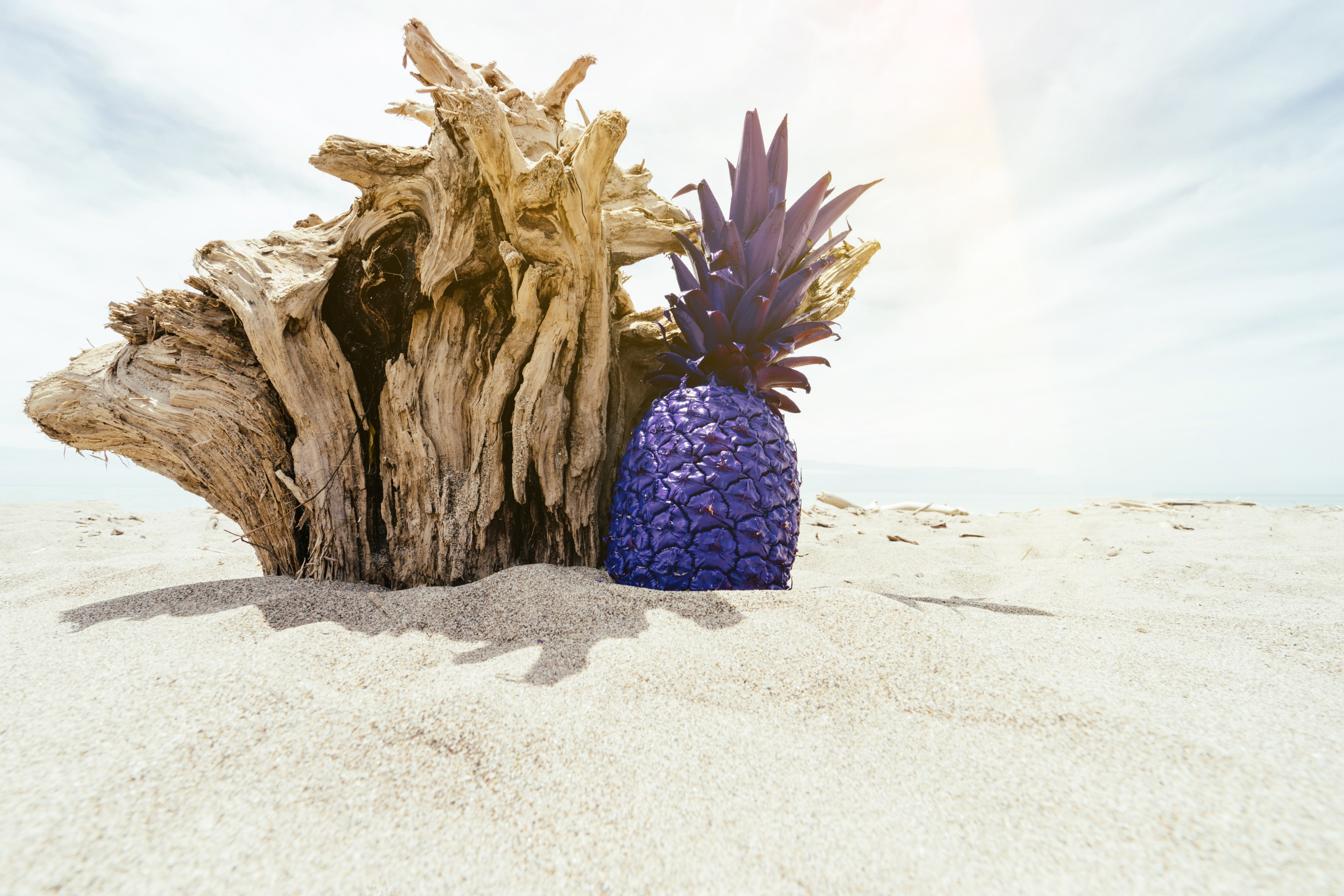 a purple painted pineapple next to beachwood, _purple pineapple 4k, HD Wallpaper