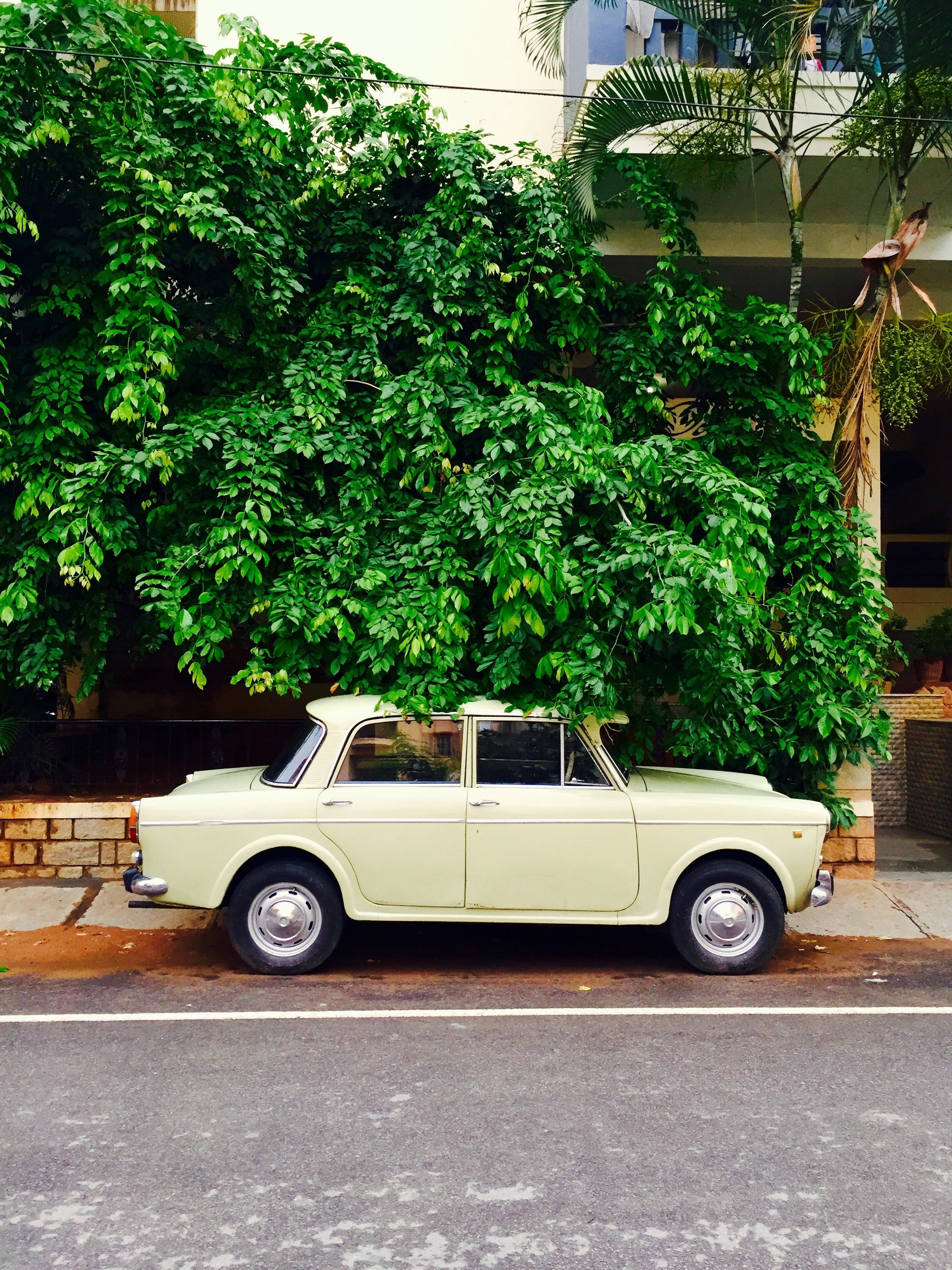 retro cream colored car parked on pavement under overgrown tree in bengaluru, retro cream car in bengaluru 4k, Phone HD Wallpaper