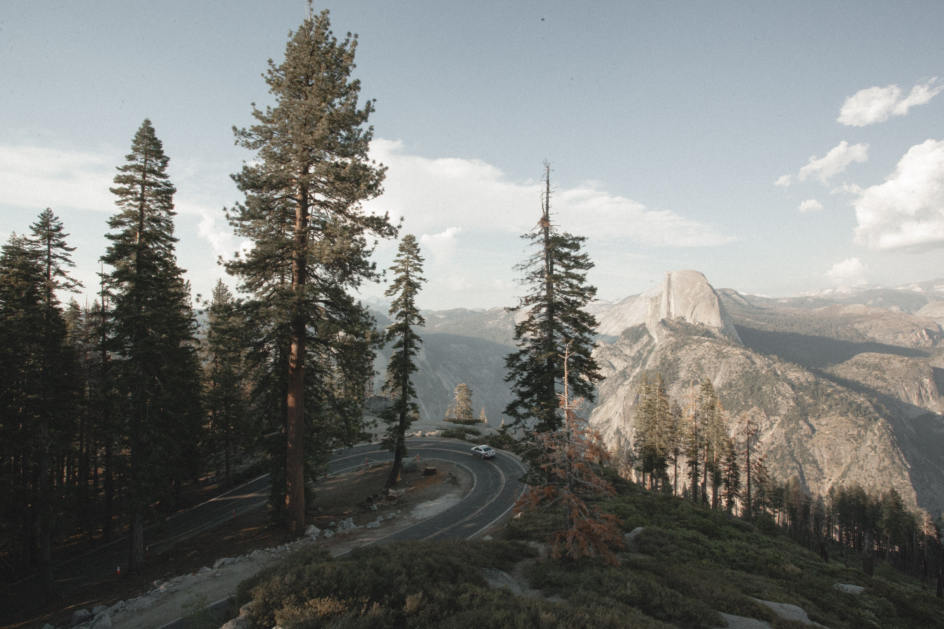 winding road pine tree forest and mountain 4k, HD Wallpaper