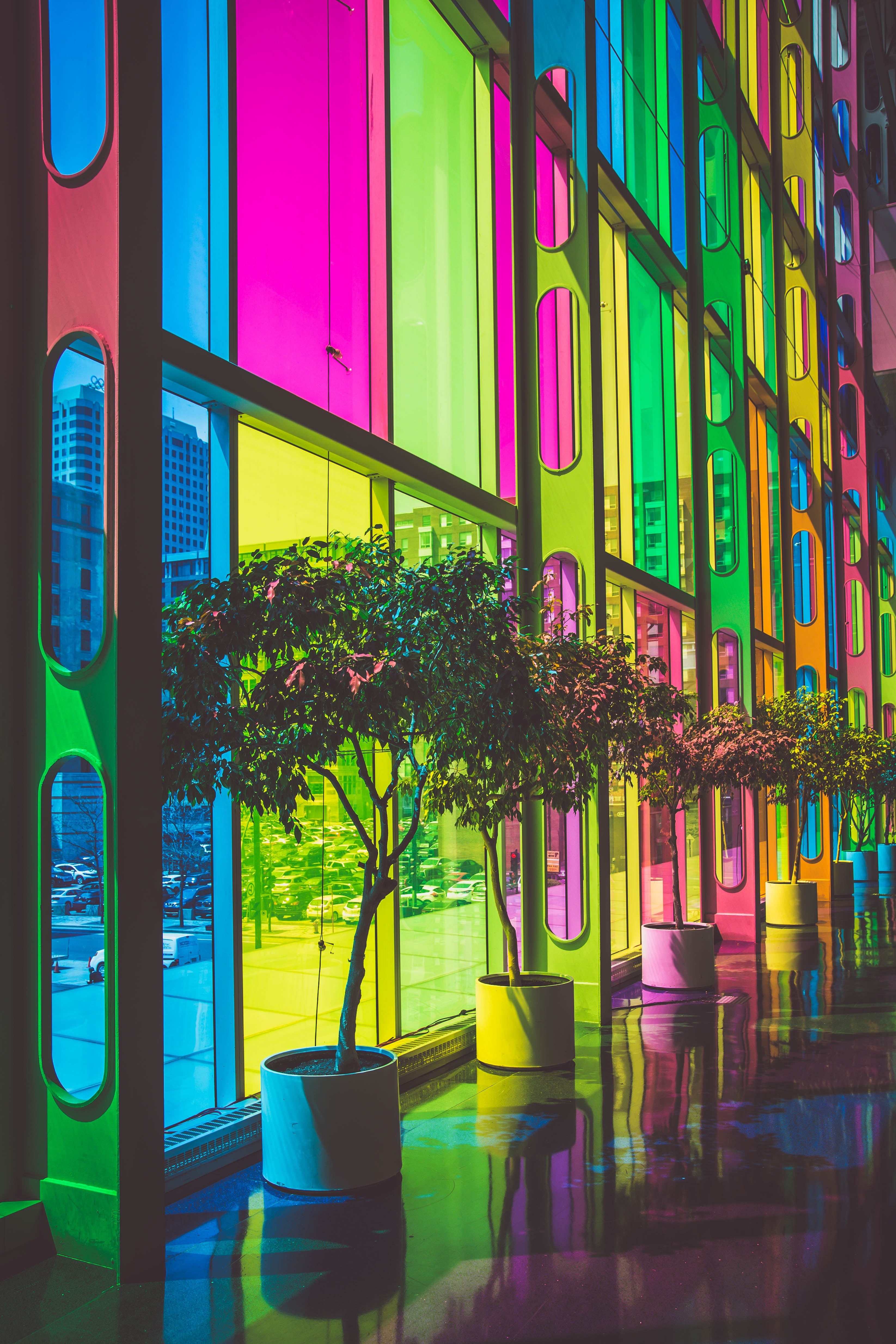 multicolored rainbow glass windows with potted trees in front in urban street, neon tinted windows 4k, Phone HD Wallpaper