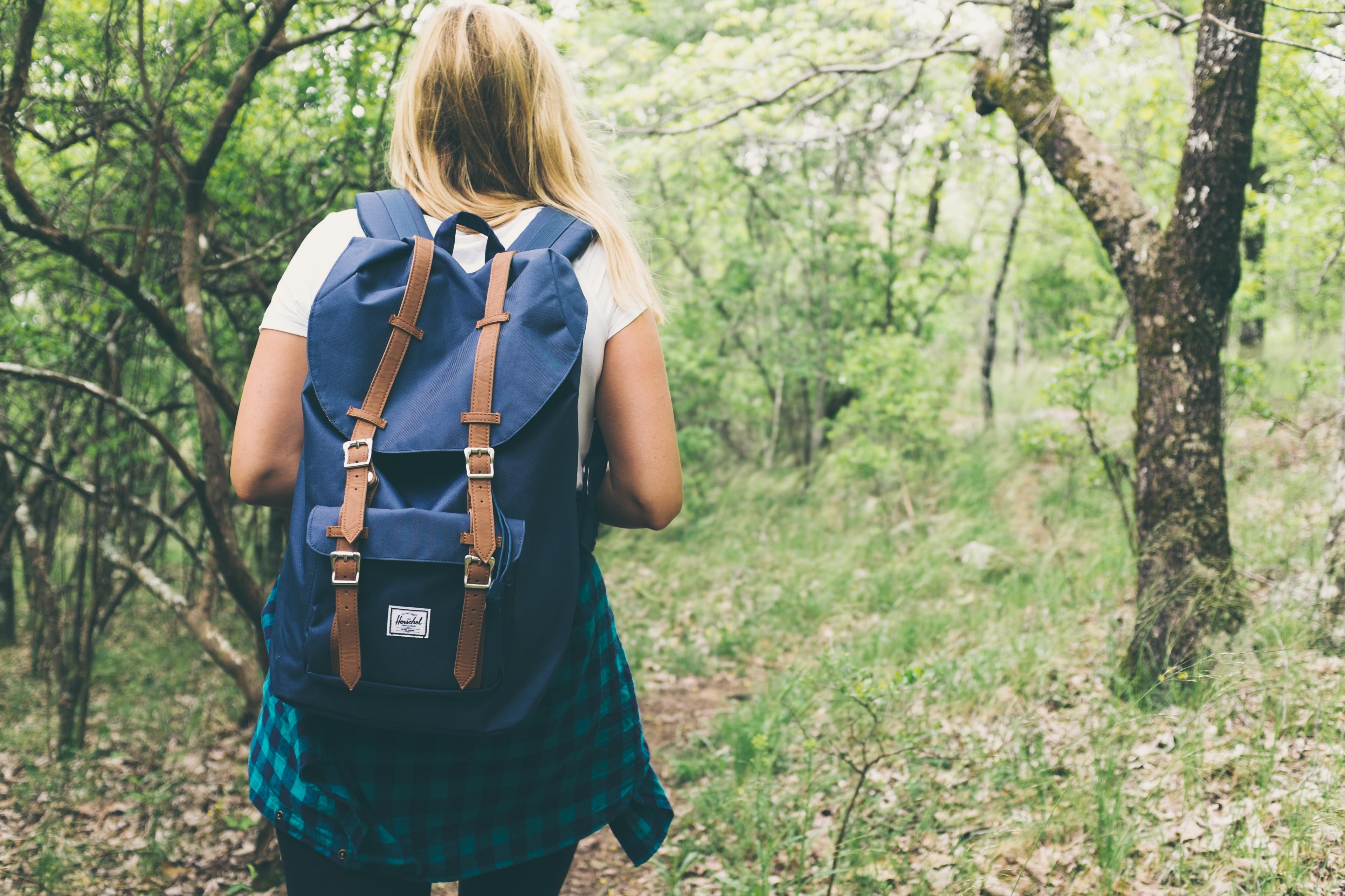 a female backpacker walking through a green forest near birmingham, hiker in a verdant forest 4k, HD Wallpaper