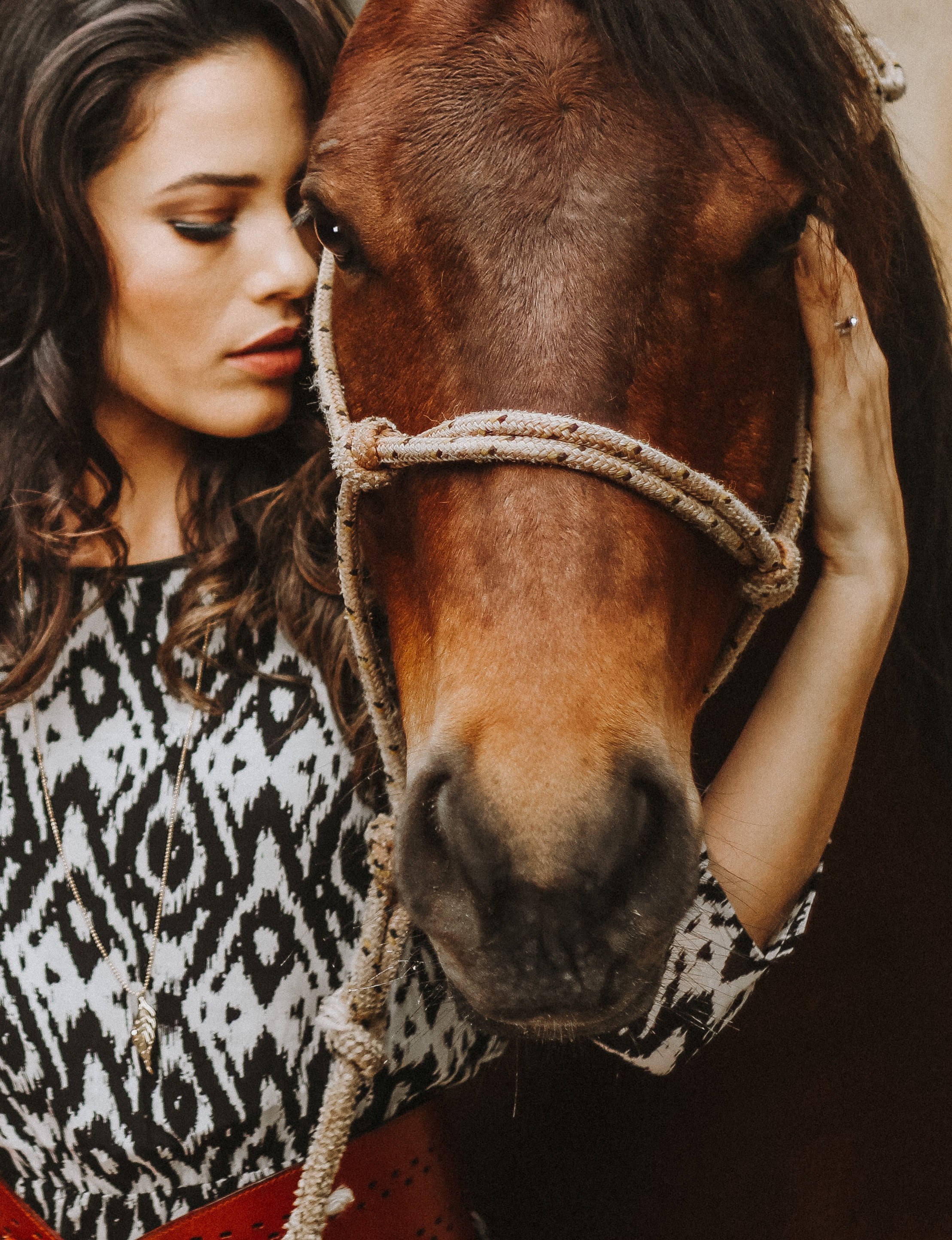 horses 4k, Phone HD Wallpaper