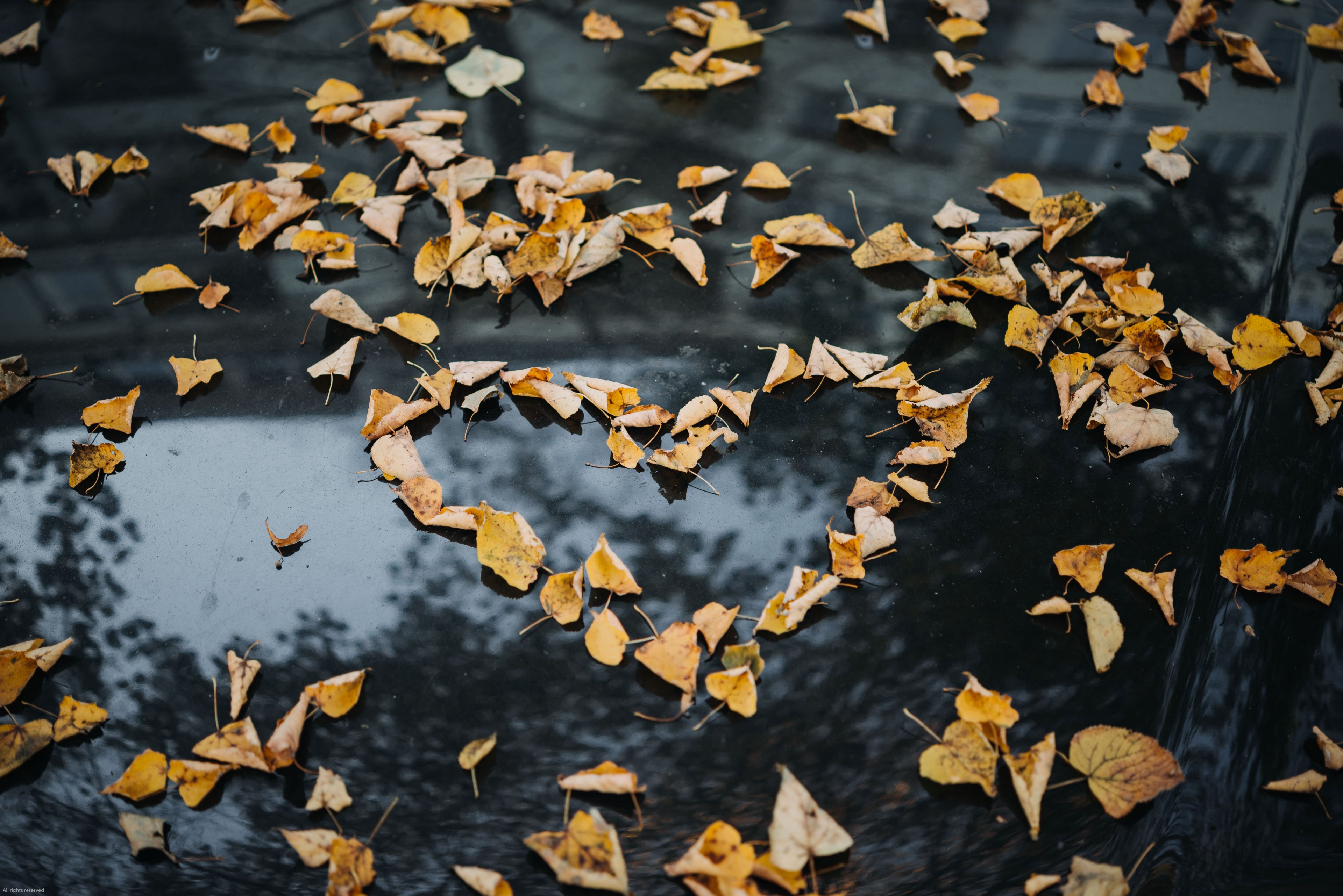 autumn love signs 4k, HD Wallpaper