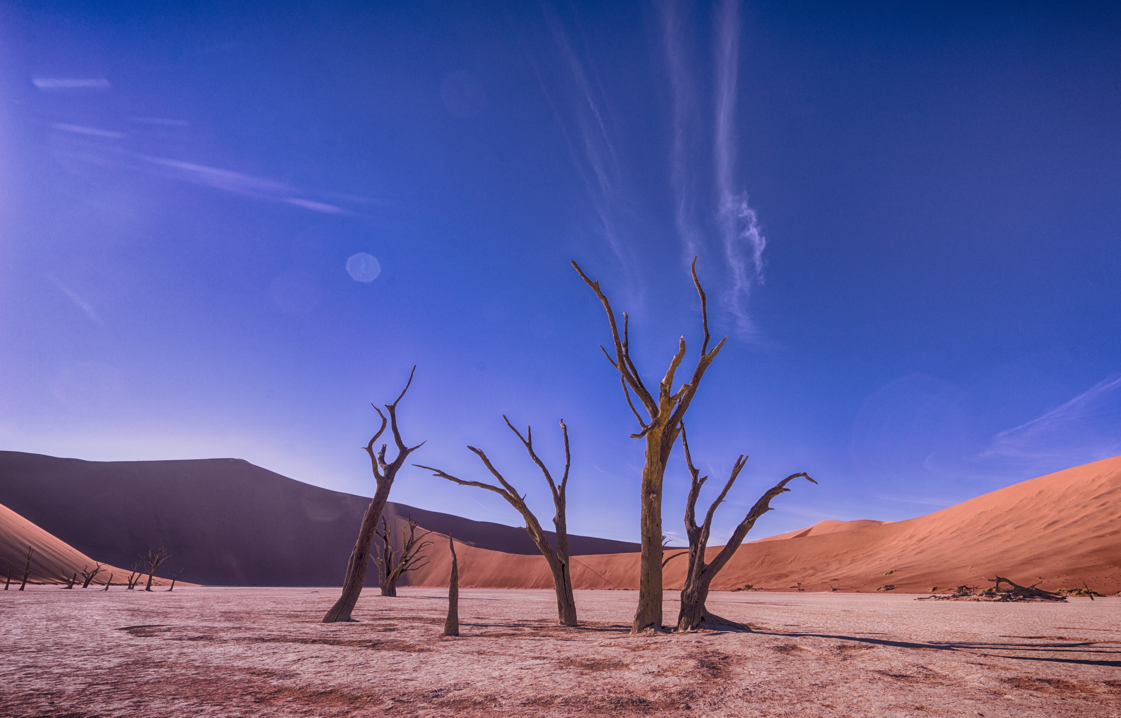 in company of others 4k, HD Wallpaper