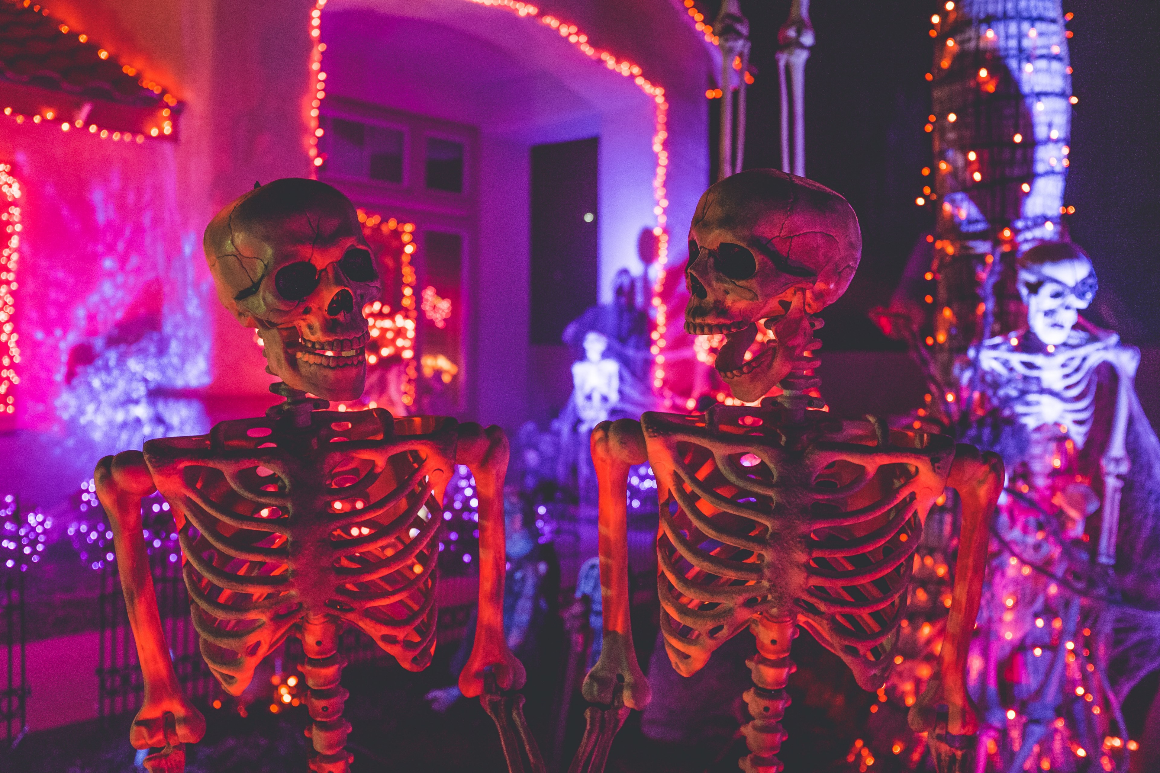 skeleton lights skull and haunted house 4k, HD Wallpaper