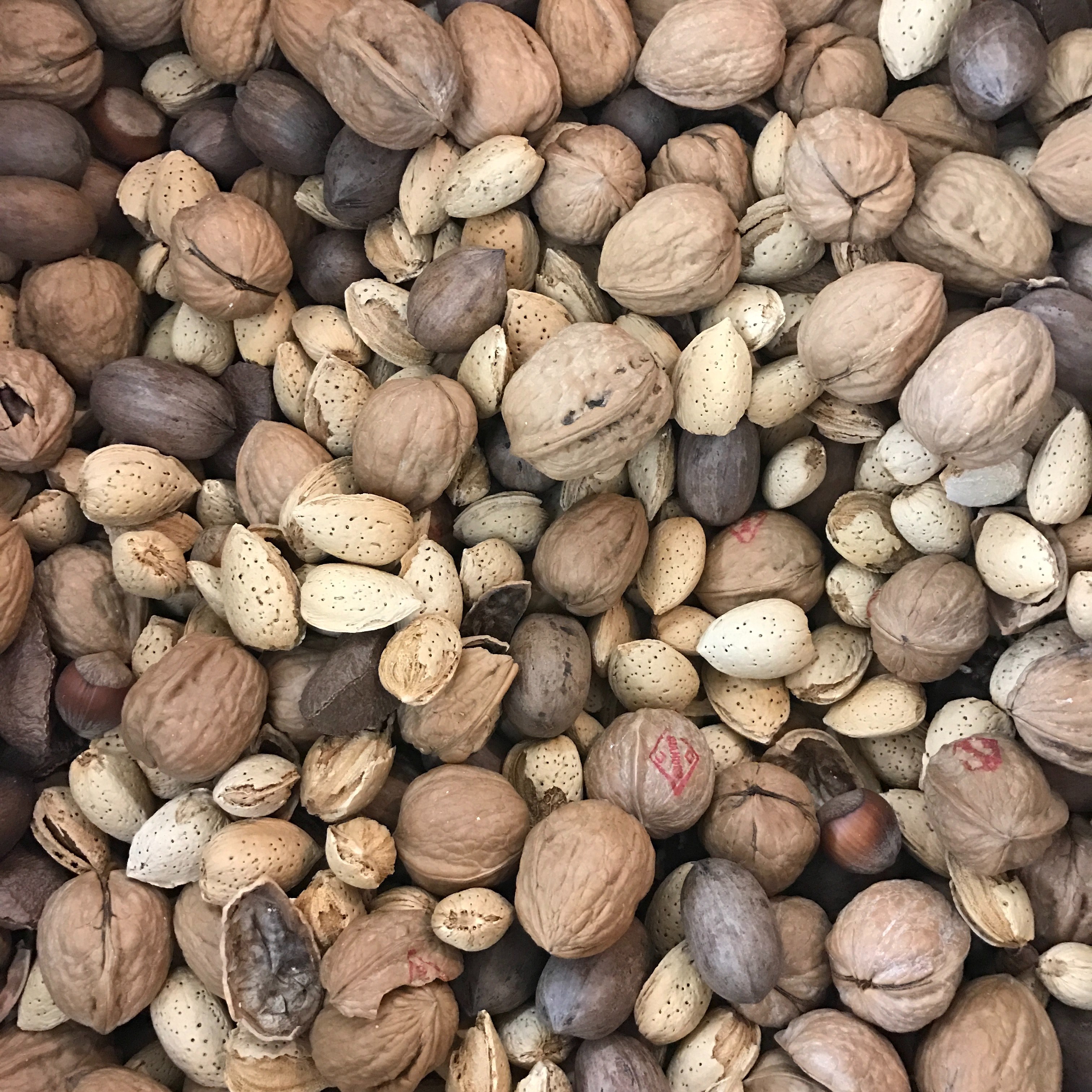 nut nutritiou protein and detail 4k, HD Wallpaper
