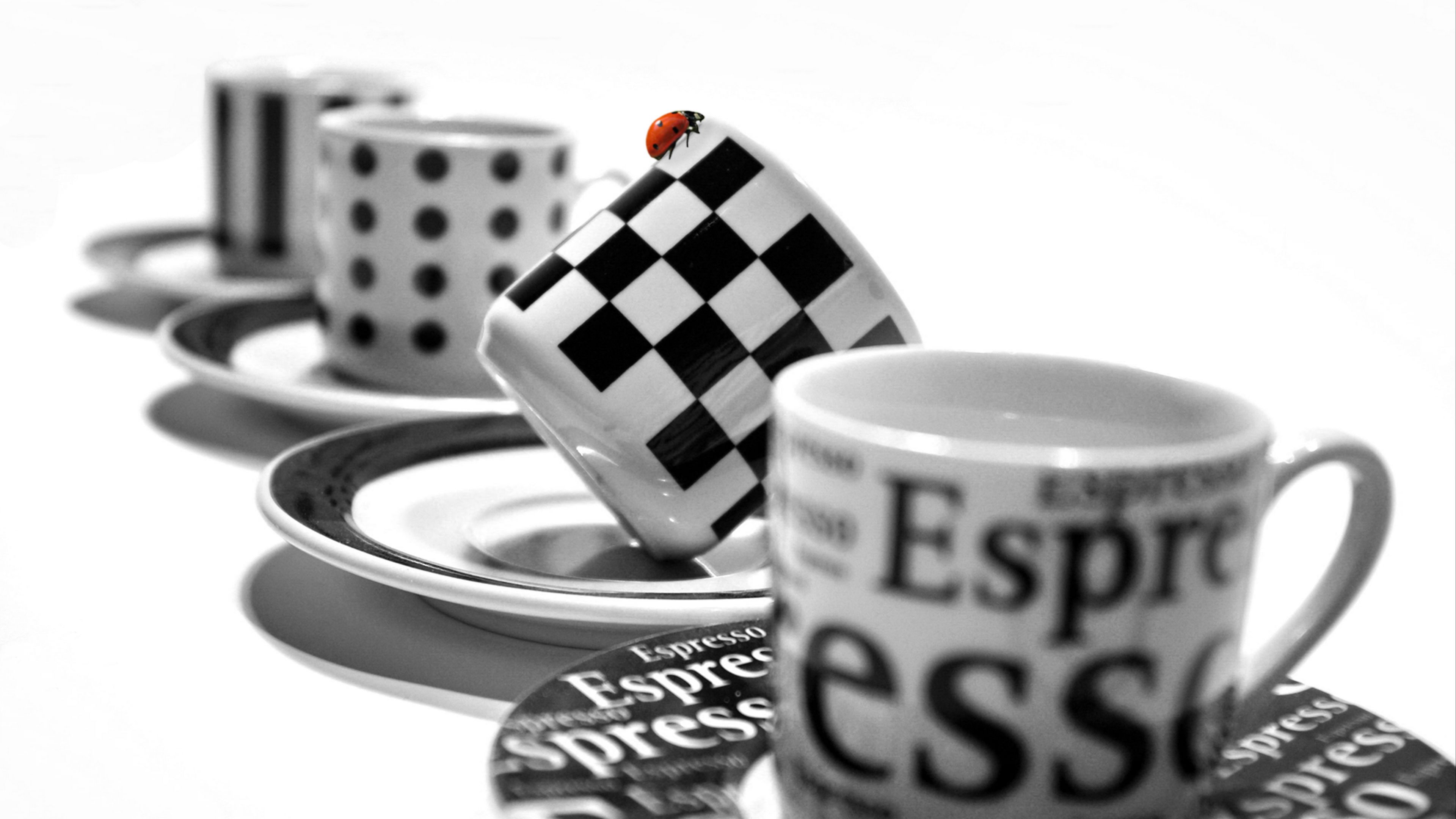 cups, dishes, ladybug, 4k, HD Wallpaper