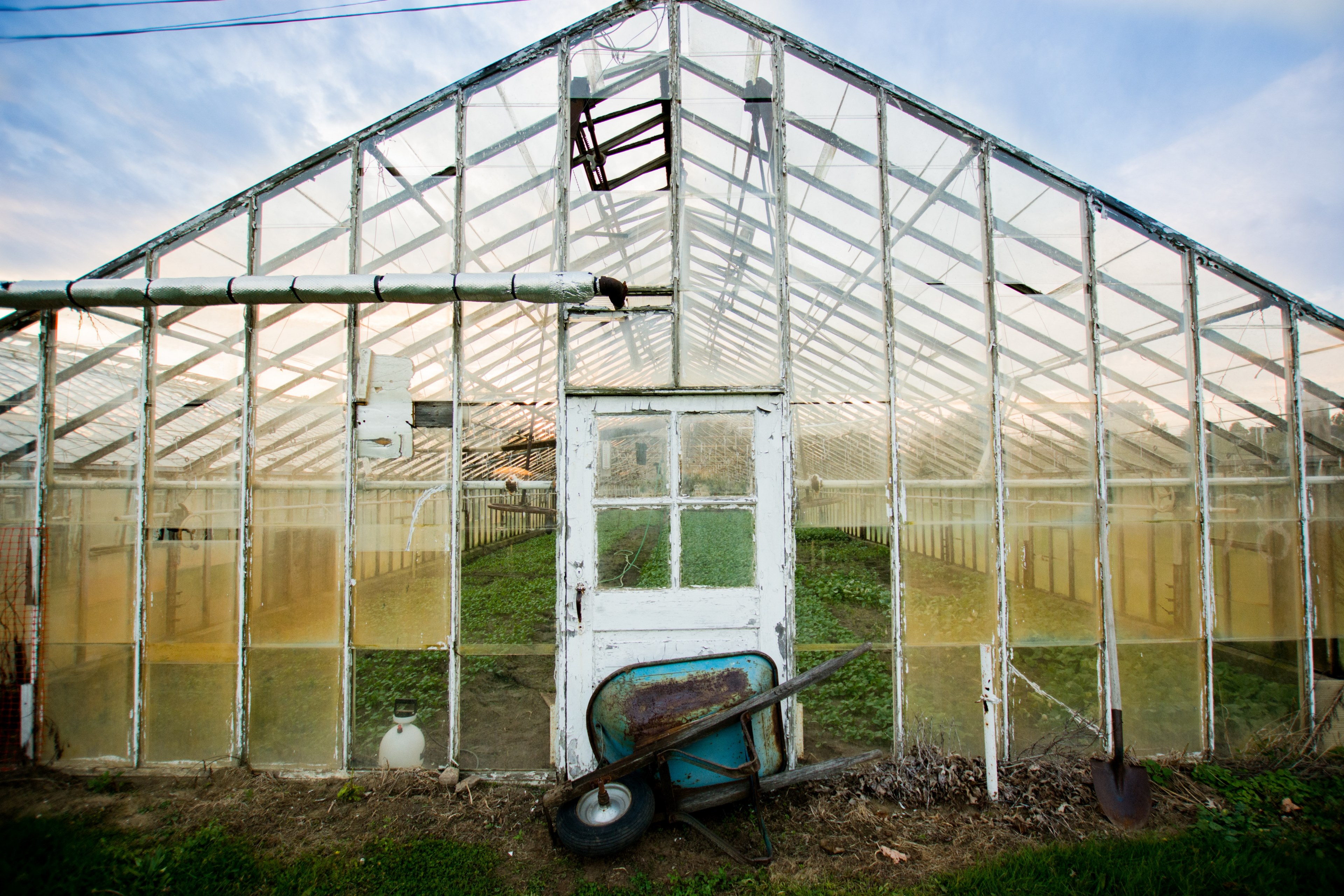 greenhouse door white and old 4k, HD Wallpaper