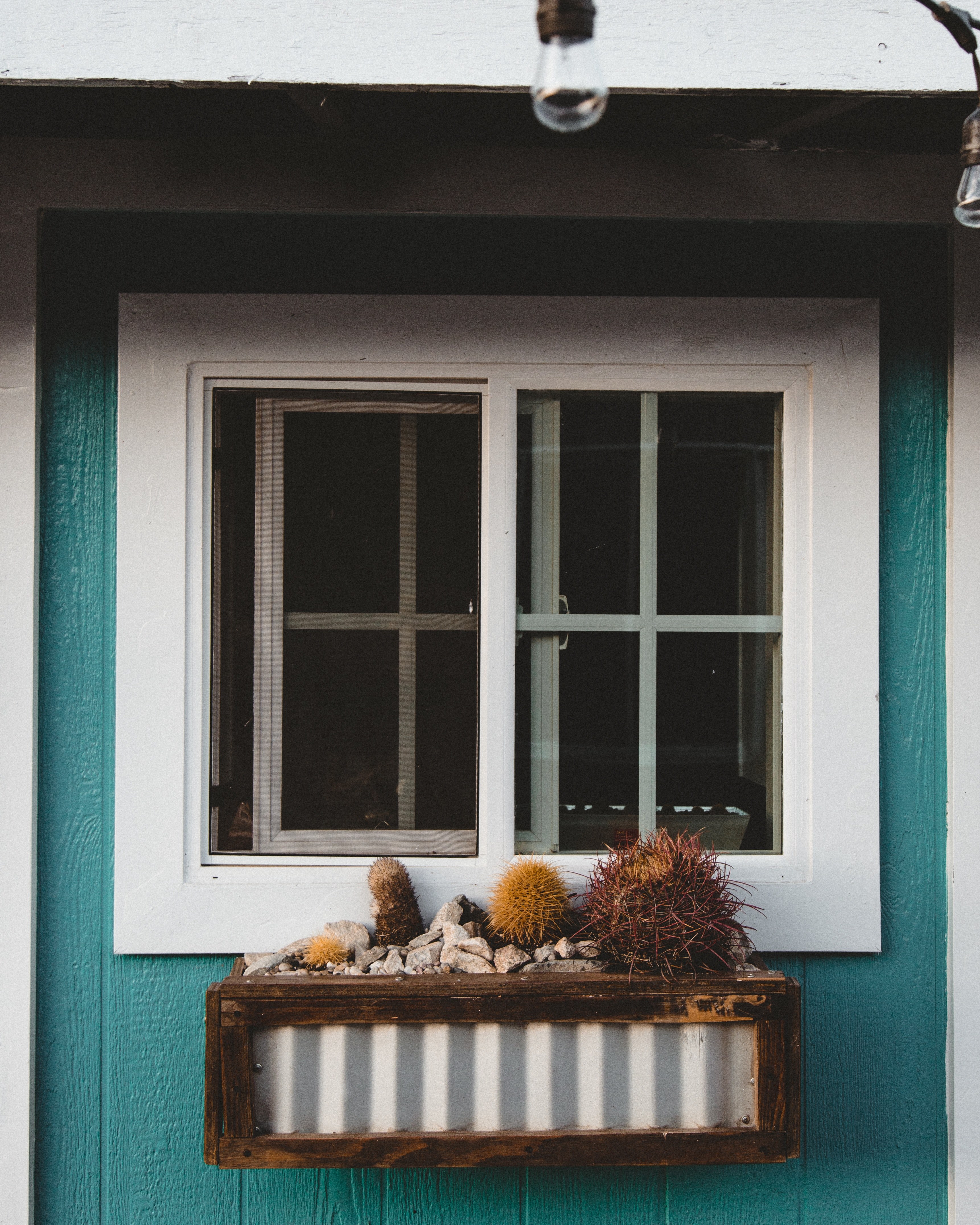 joshua tree window 4k, Phone HD Wallpaper