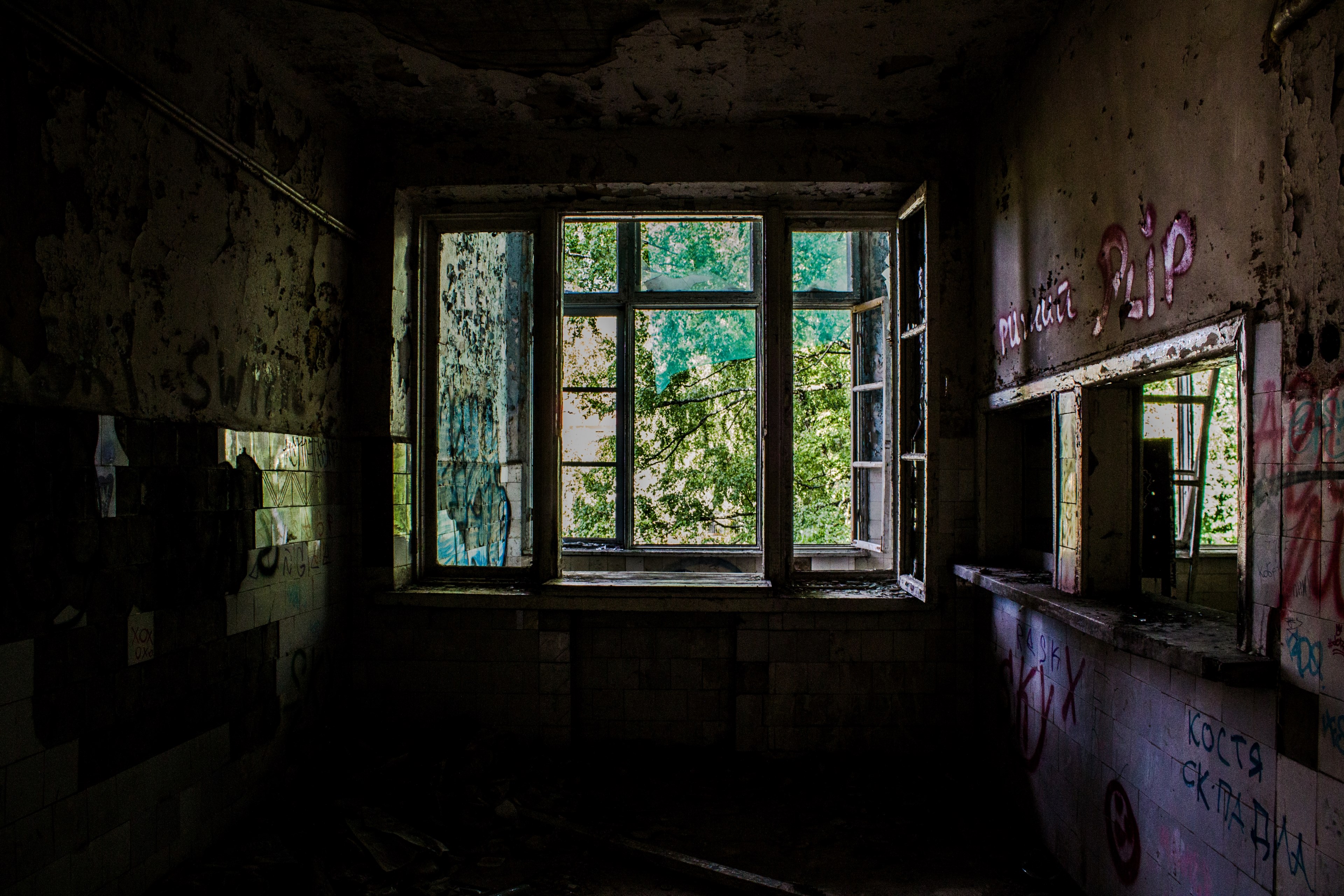 forgotten tree room and glass 4k, HD Wallpaper
