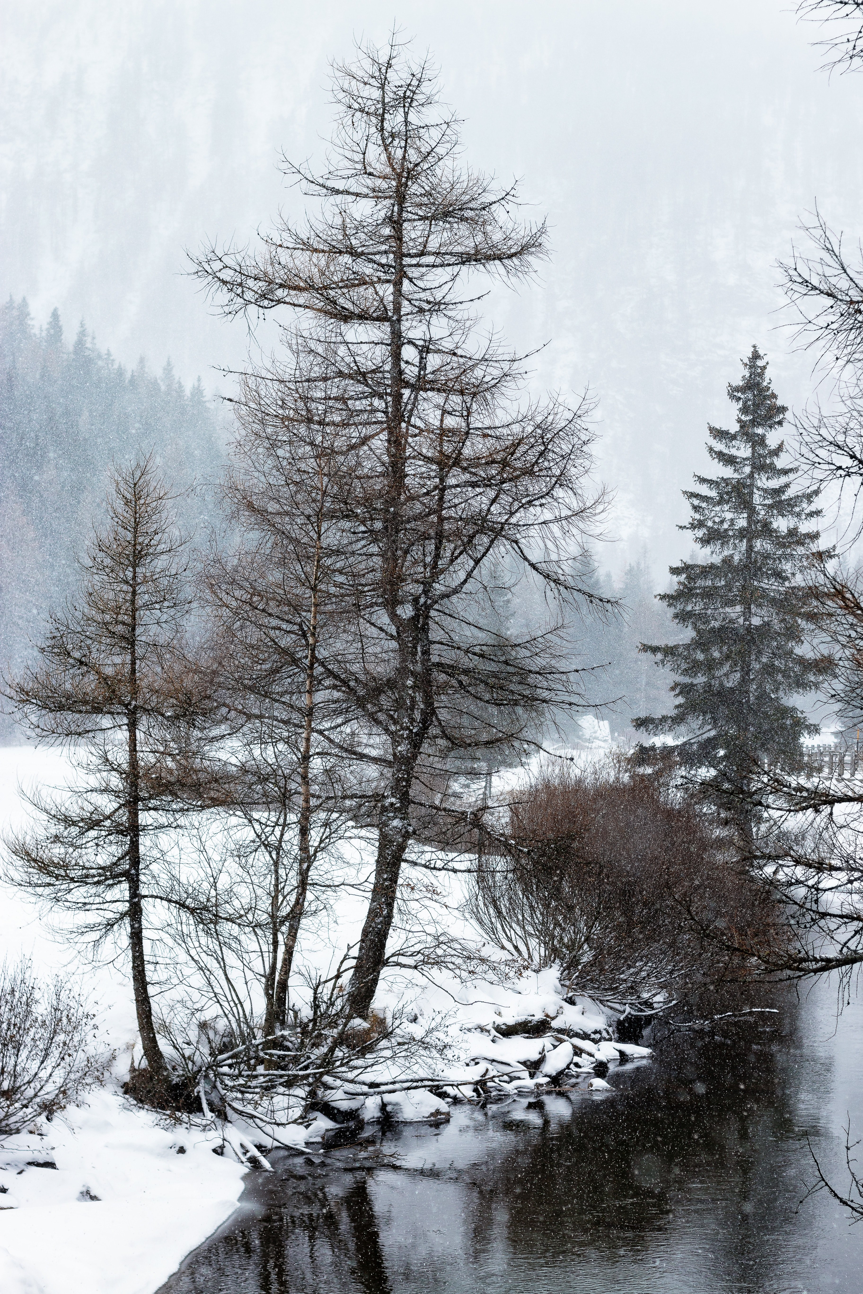 wrong silence 4k, Phone HD Wallpaper