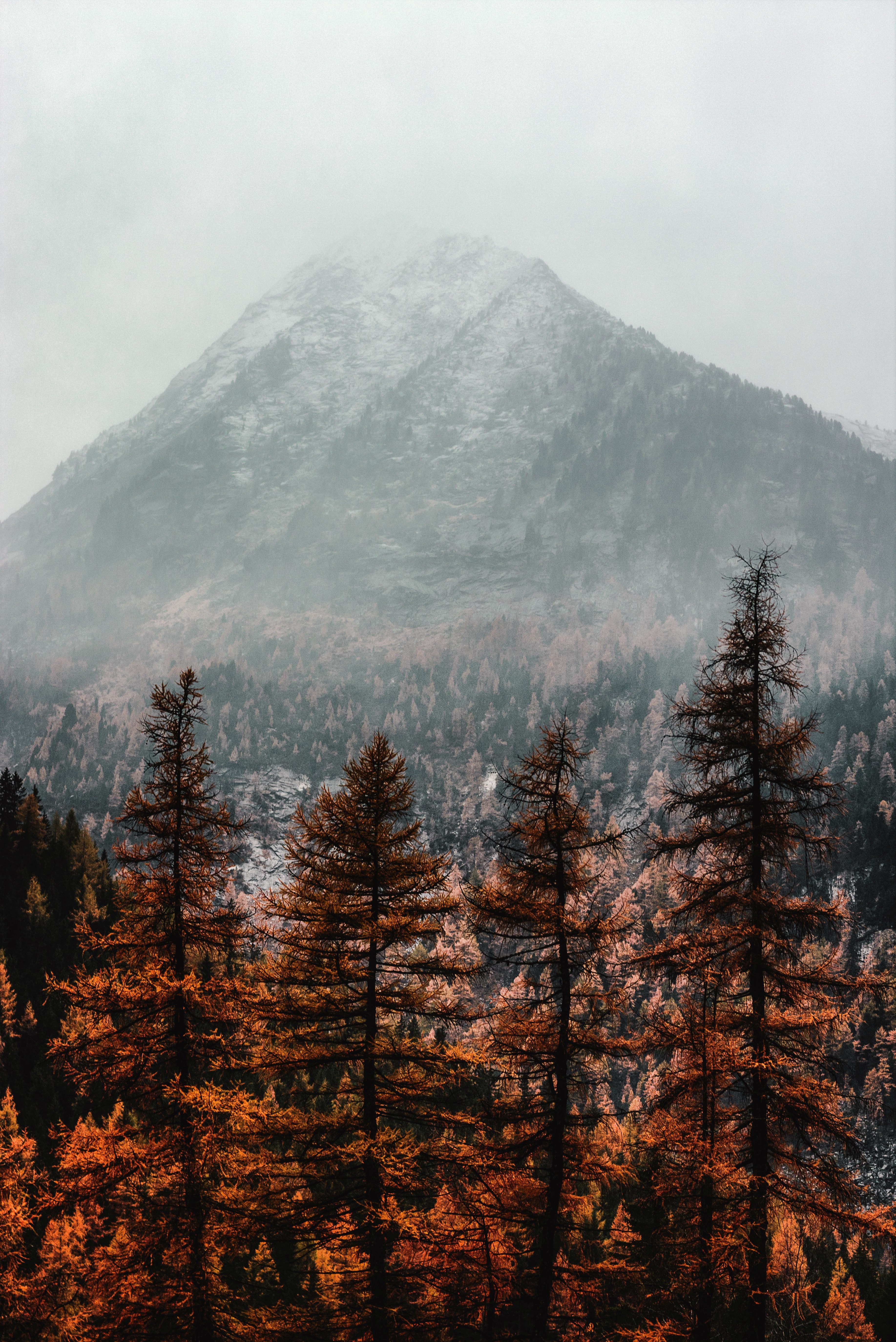 mountain mist fog and cloud hd, 4k, Phone HD Wallpaper