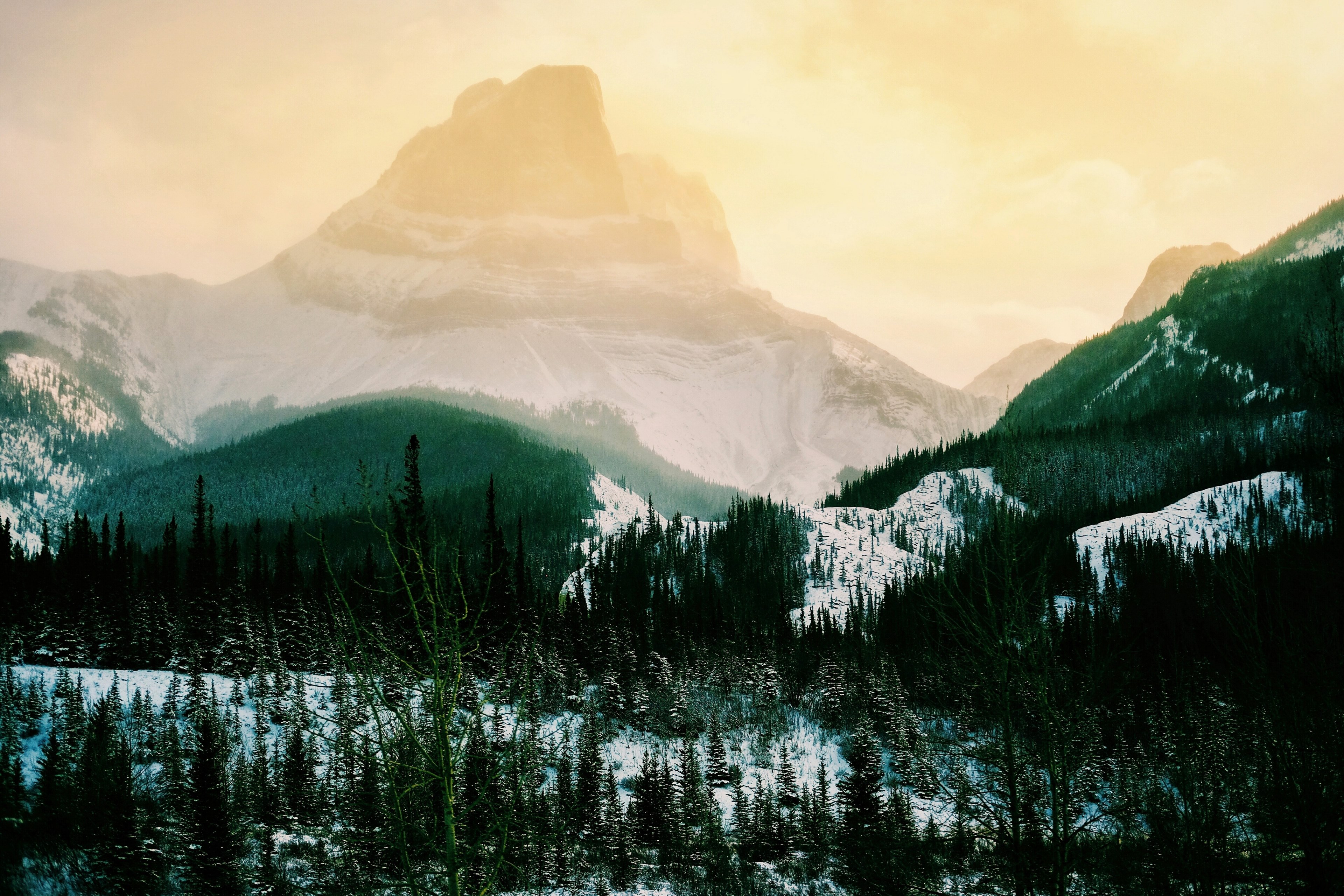 a tall snow covered mountain peak towering over wooded hills, coordinates 4k, HD Wallpaper