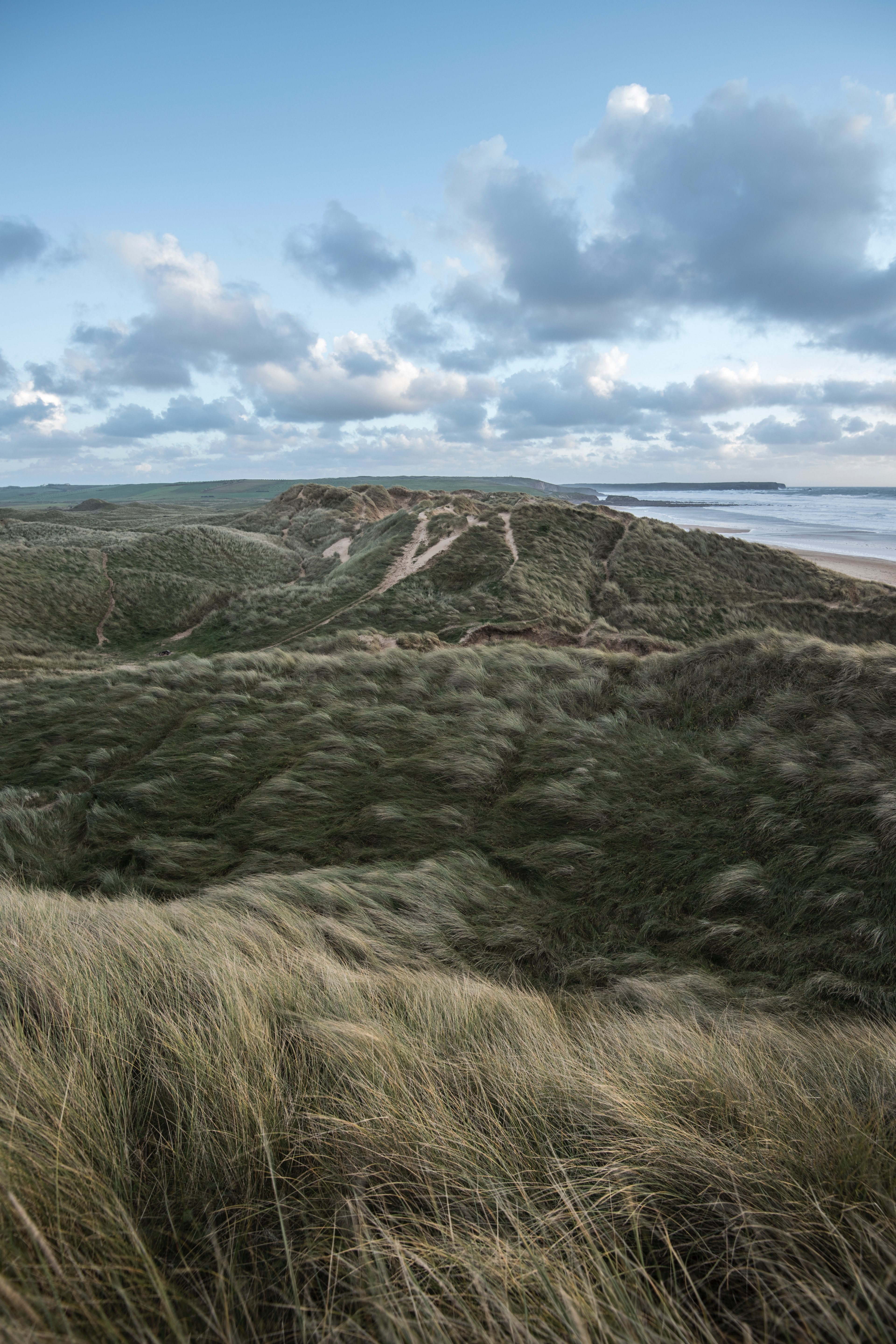 grass dune and beach hd, 4k, Phone HD Wallpaper