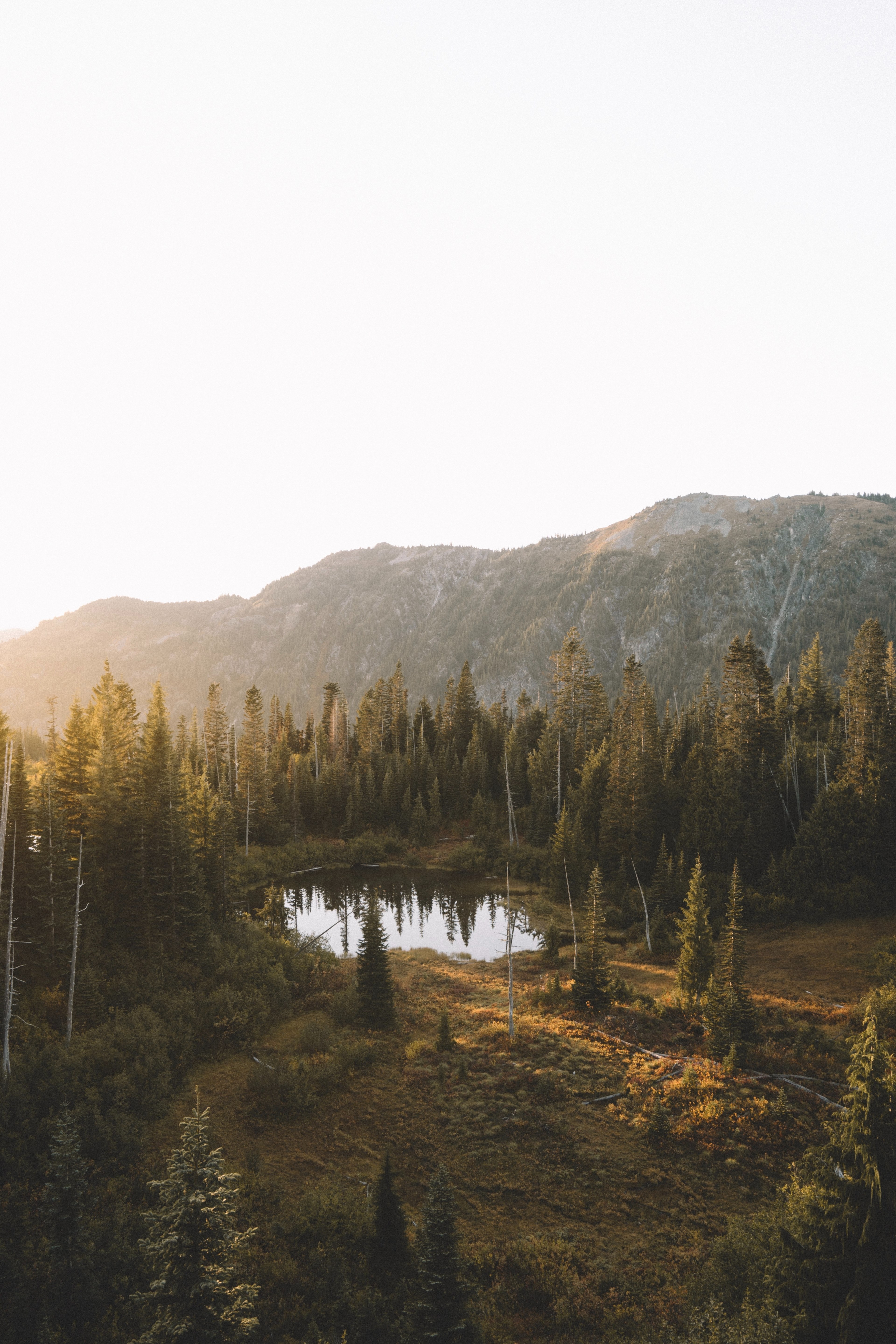 evergreen trees around a pond near a tall hill, warm sunrise 4k, Phone HD Wallpaper