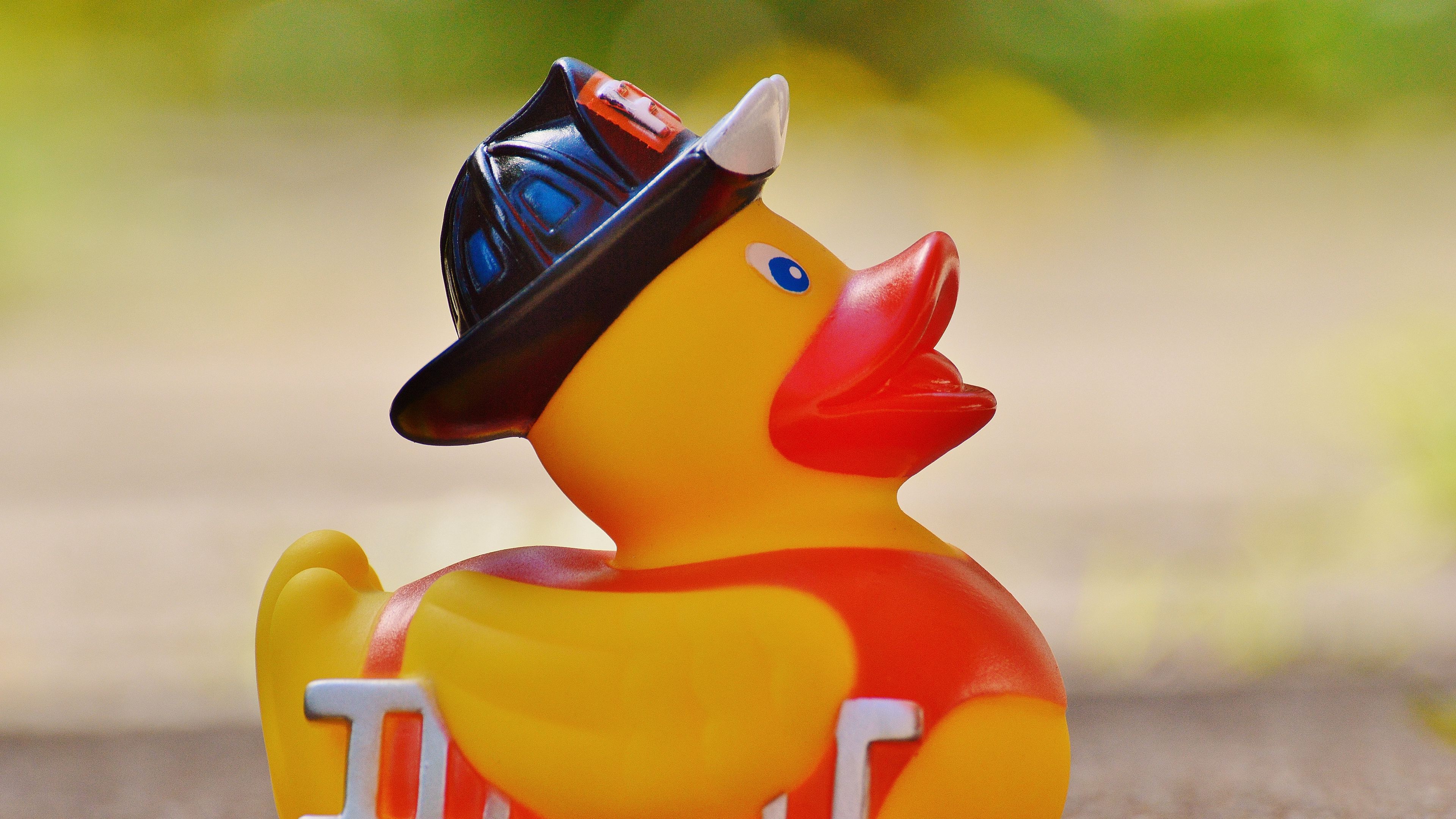 rubber duck, duck, toy, 4k, HD Wallpaper