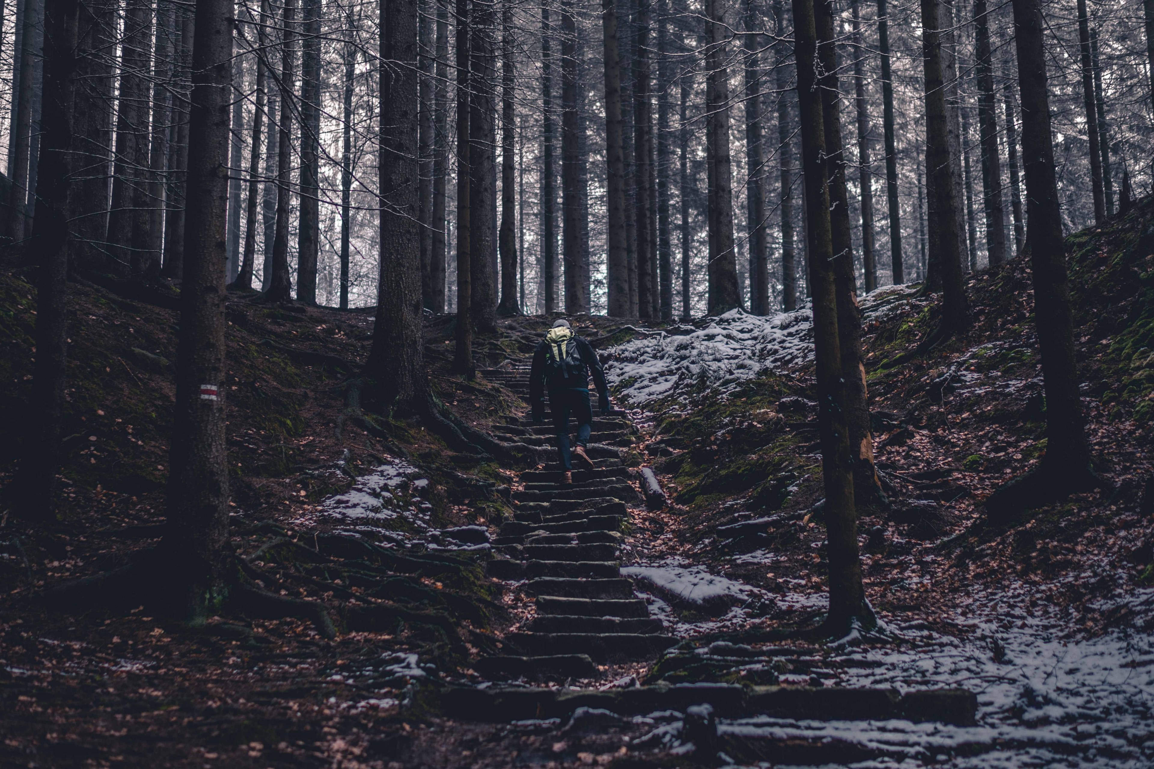 lost in the czech switzerland 4k, HD Wallpaper