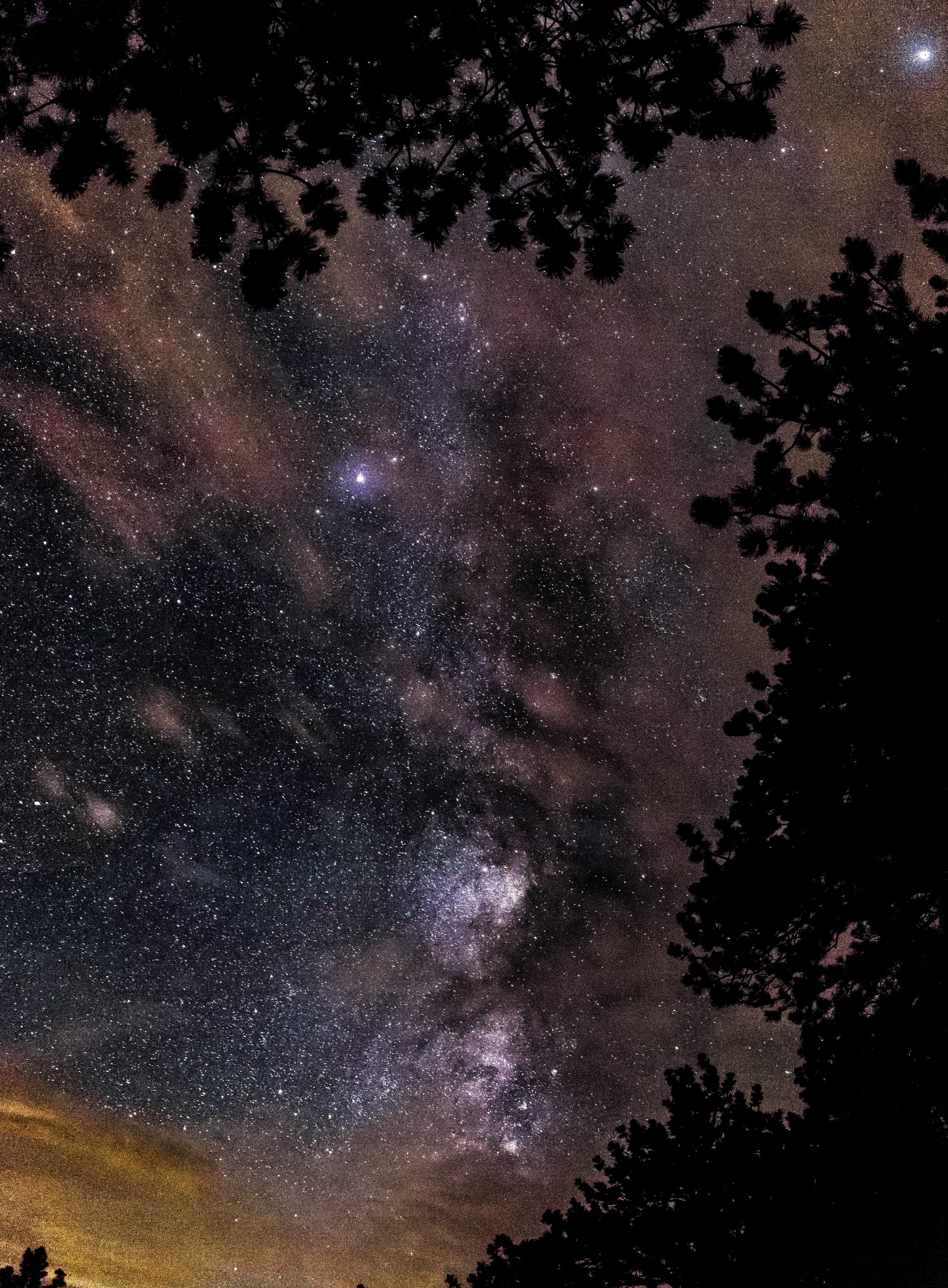 the milky way rises above the silhouette of trees at rocky mountain national park, _milky way rocky mountain 4k, Phone HD Wallpaper