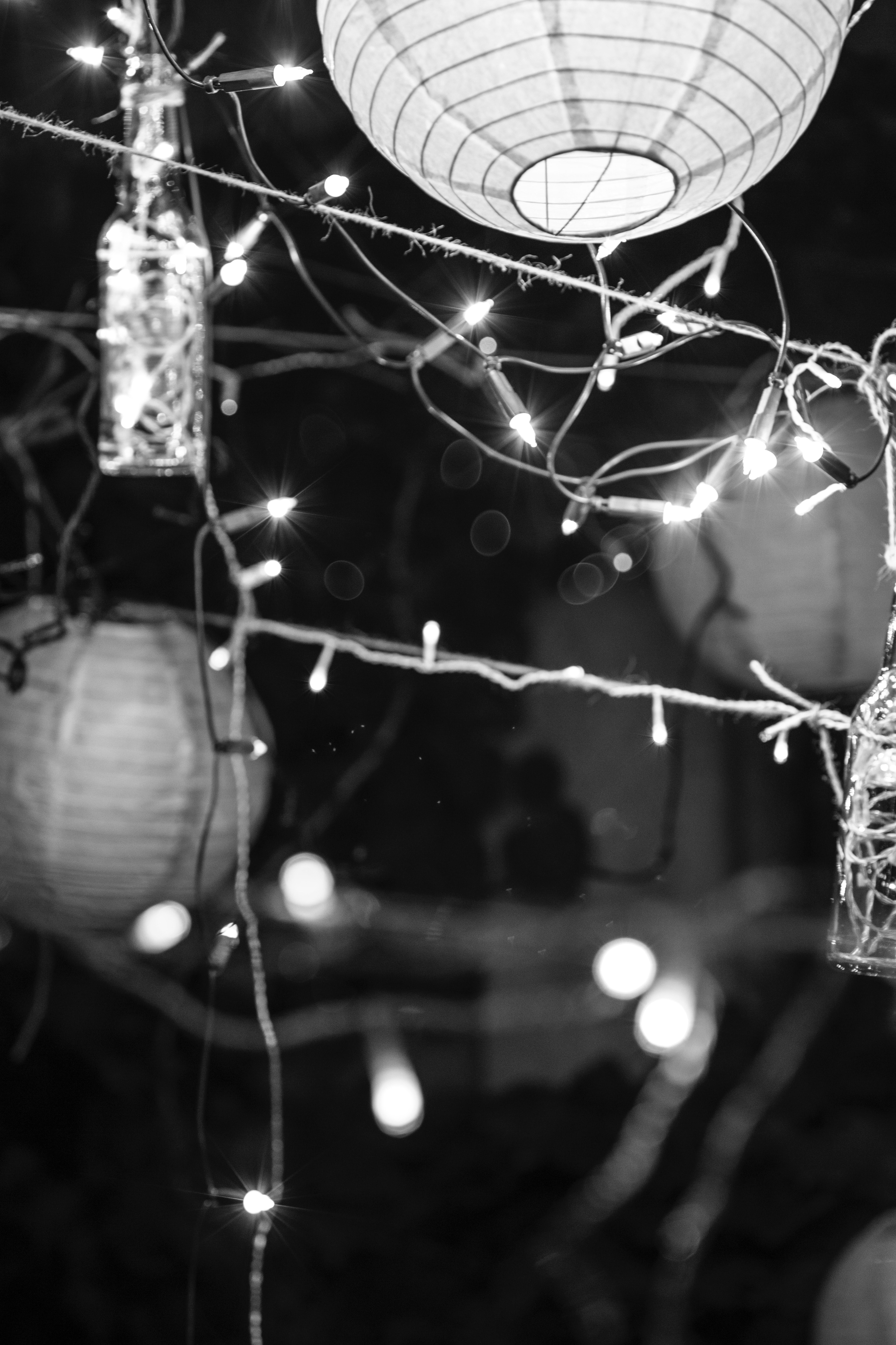 garden christma shine and glow hd, 4k, Phone HD Wallpaper