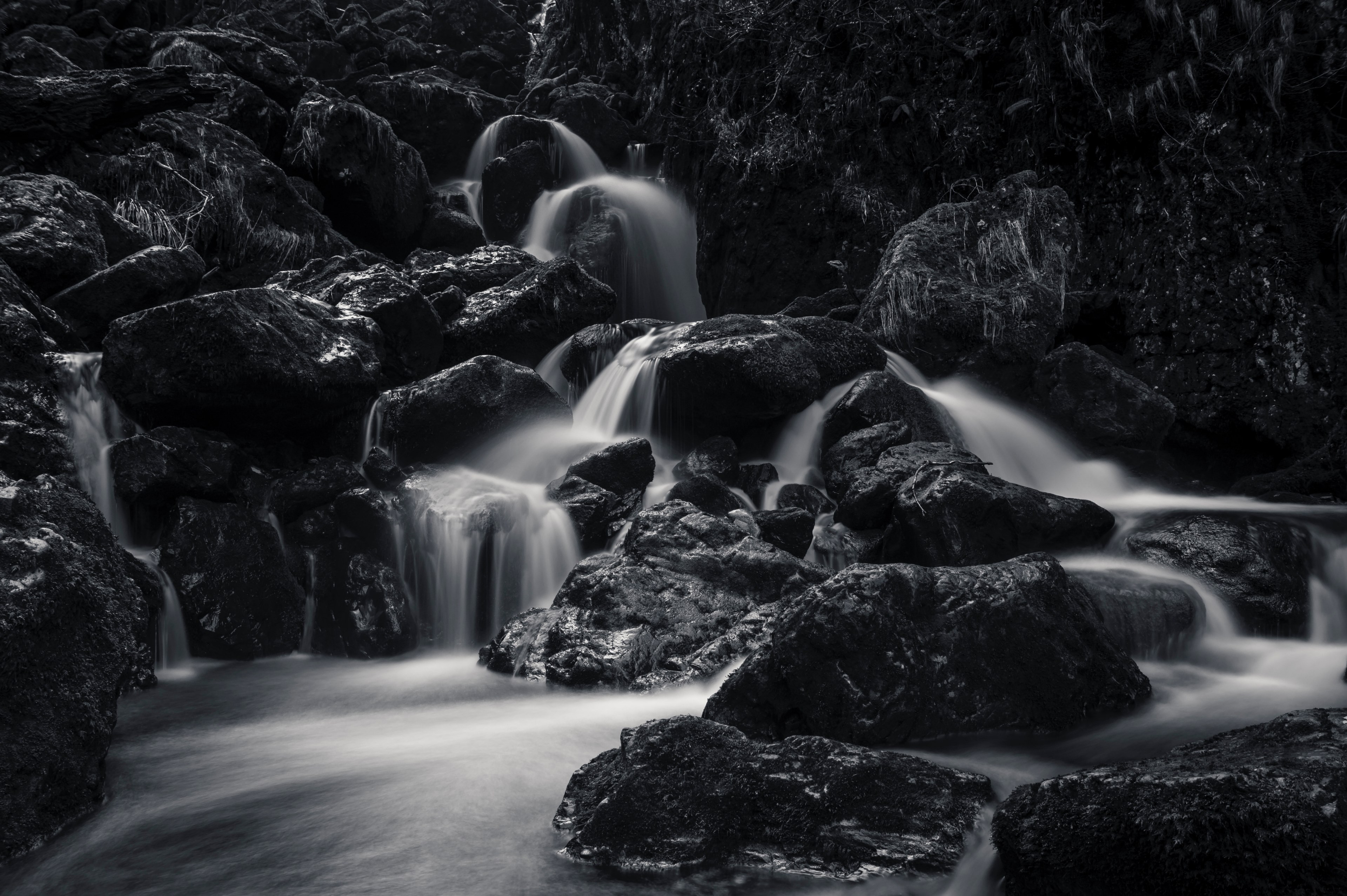 bampw black amp white rain and water 4k, HD Wallpaper