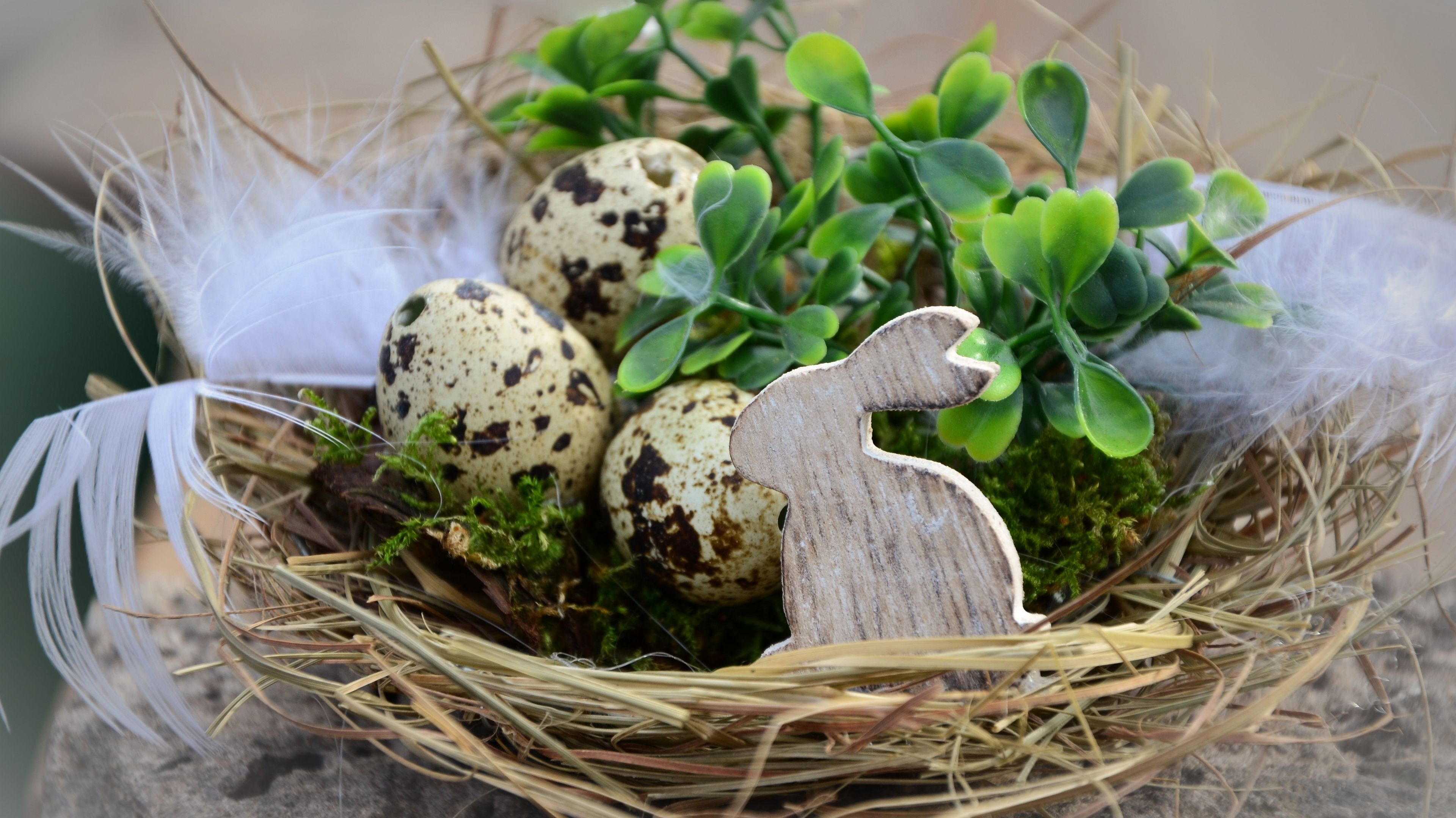 easter, easter eggs, rabbit, feathers, 4k, HD Wallpaper