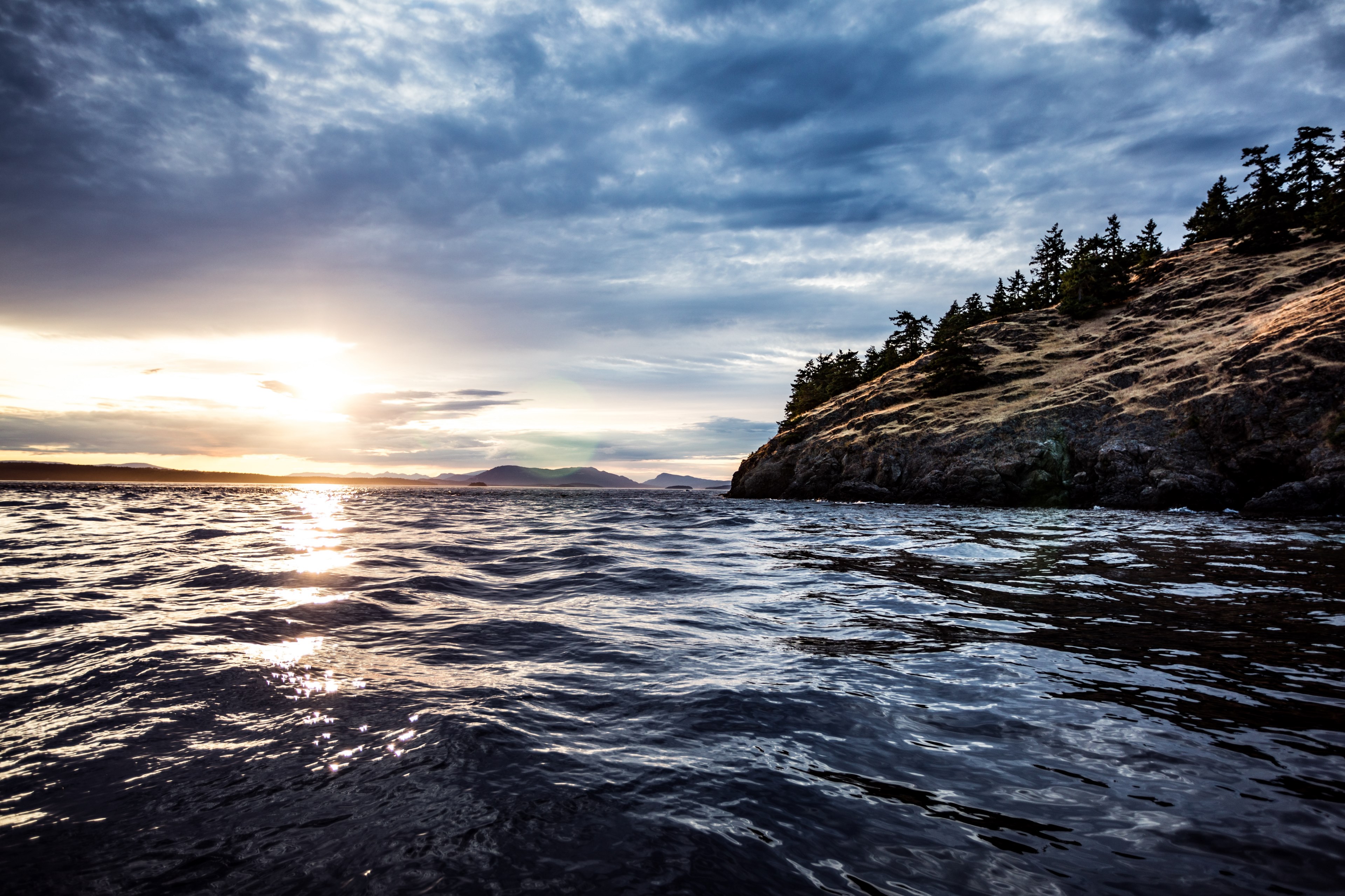 who needs to catch fish 4k, HD Wallpaper