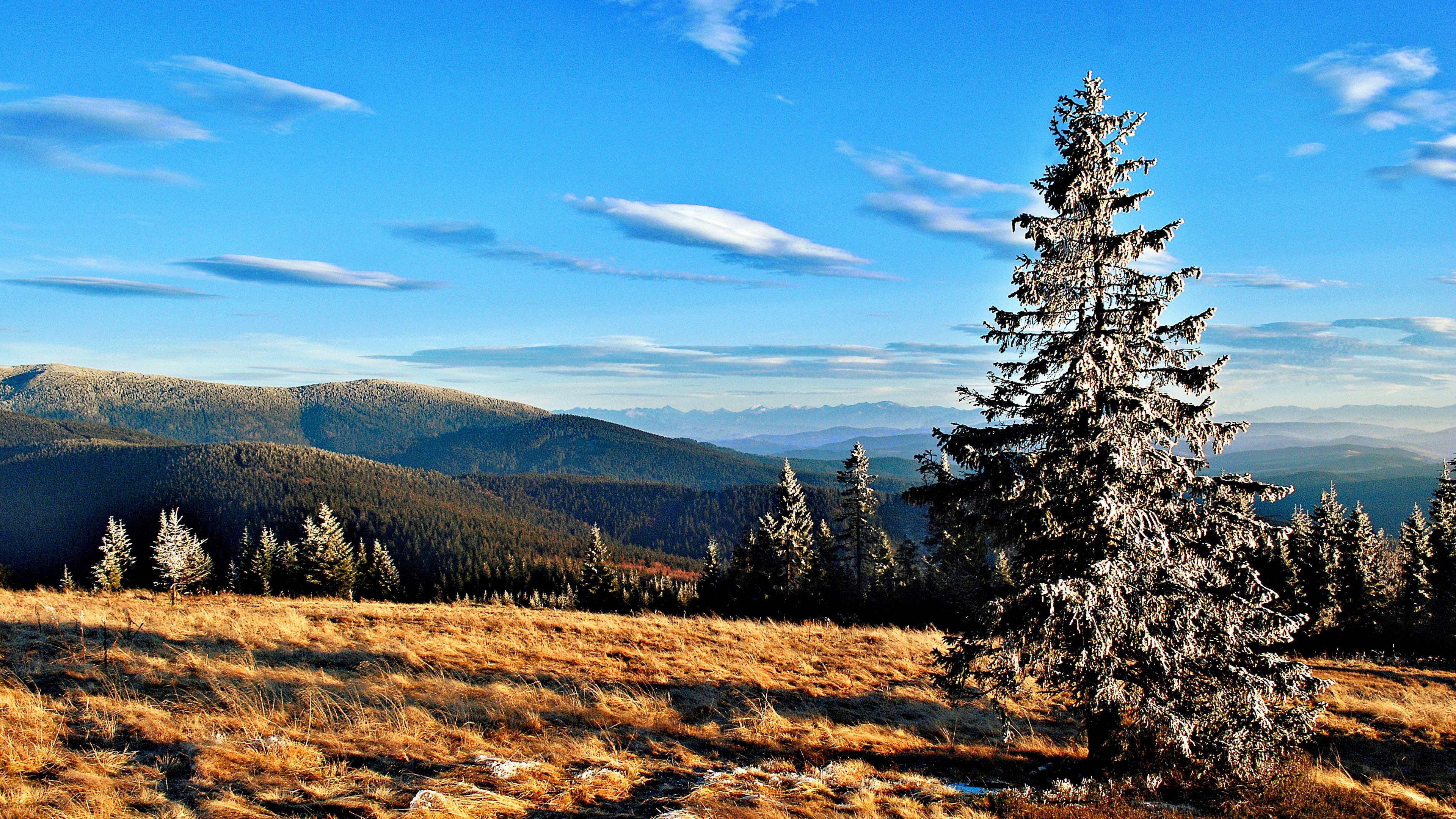 mountains, trees, grass, autumn, sky, 4k, HD Wallpaper