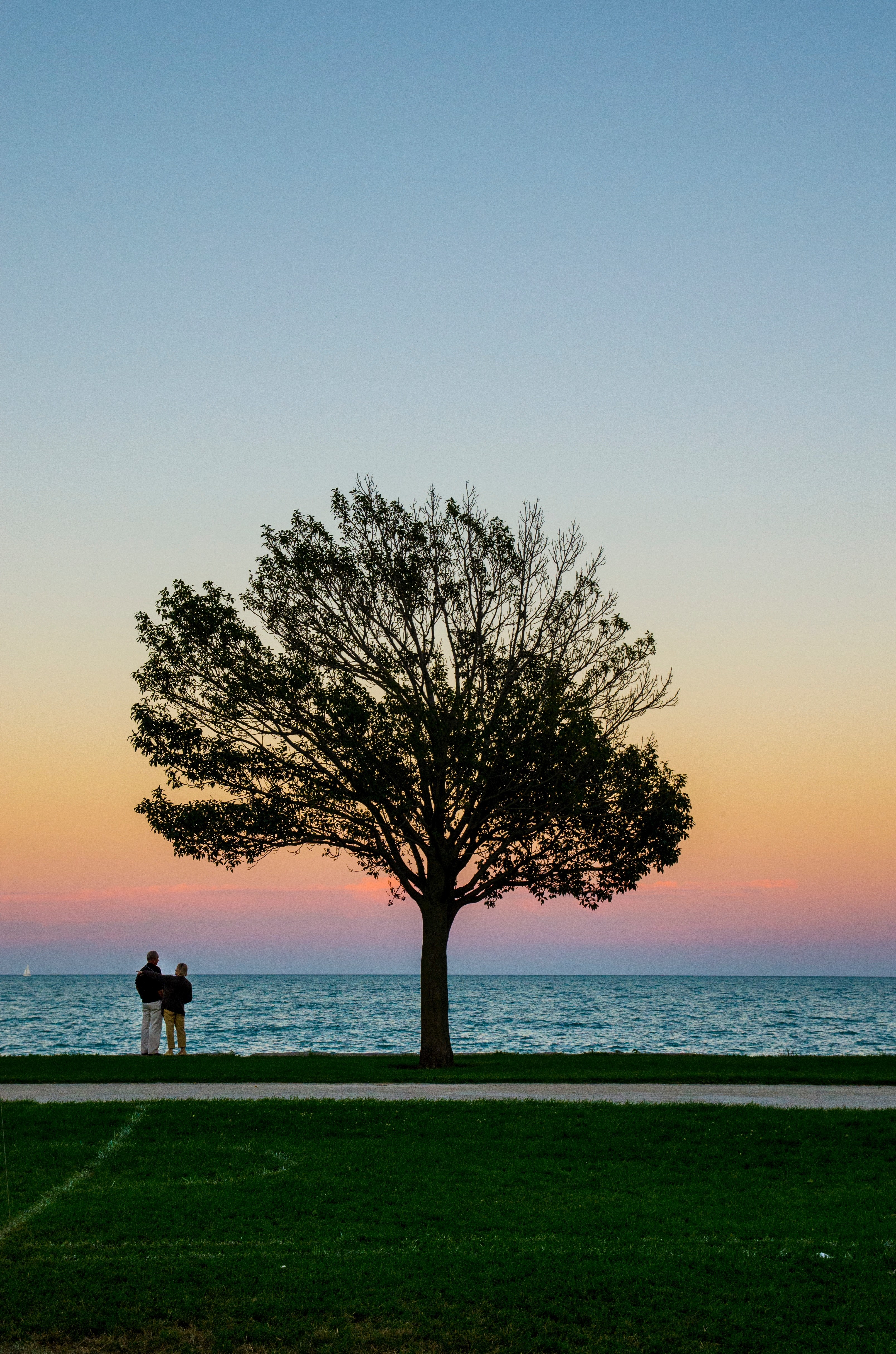 tree silhouettes against the beach protects lovers who hold each other close, tree protects us 4k, Phone HD Wallpaper