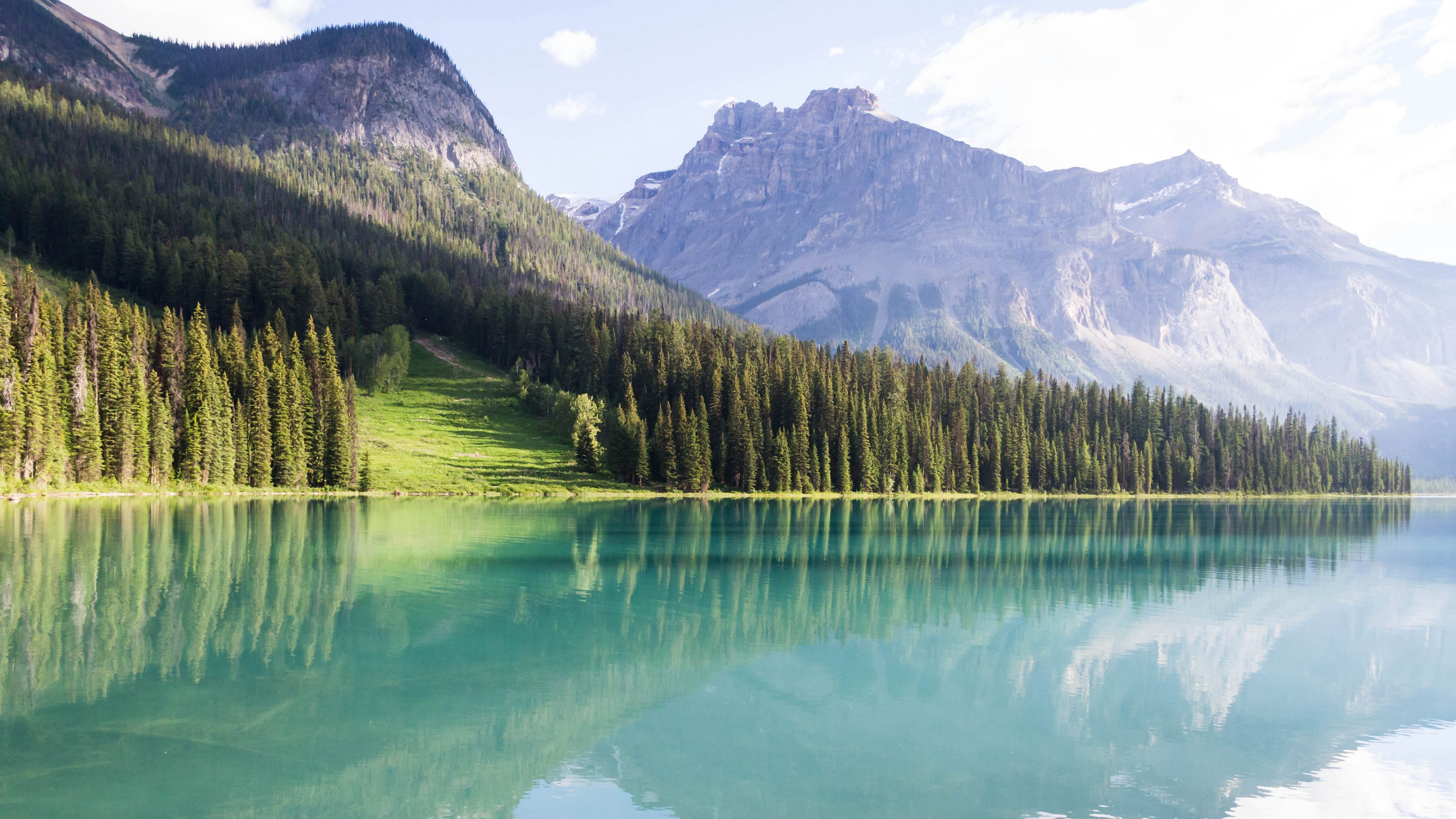 mountains, landscape, trees, lake peyto, 4k, HD Wallpaper