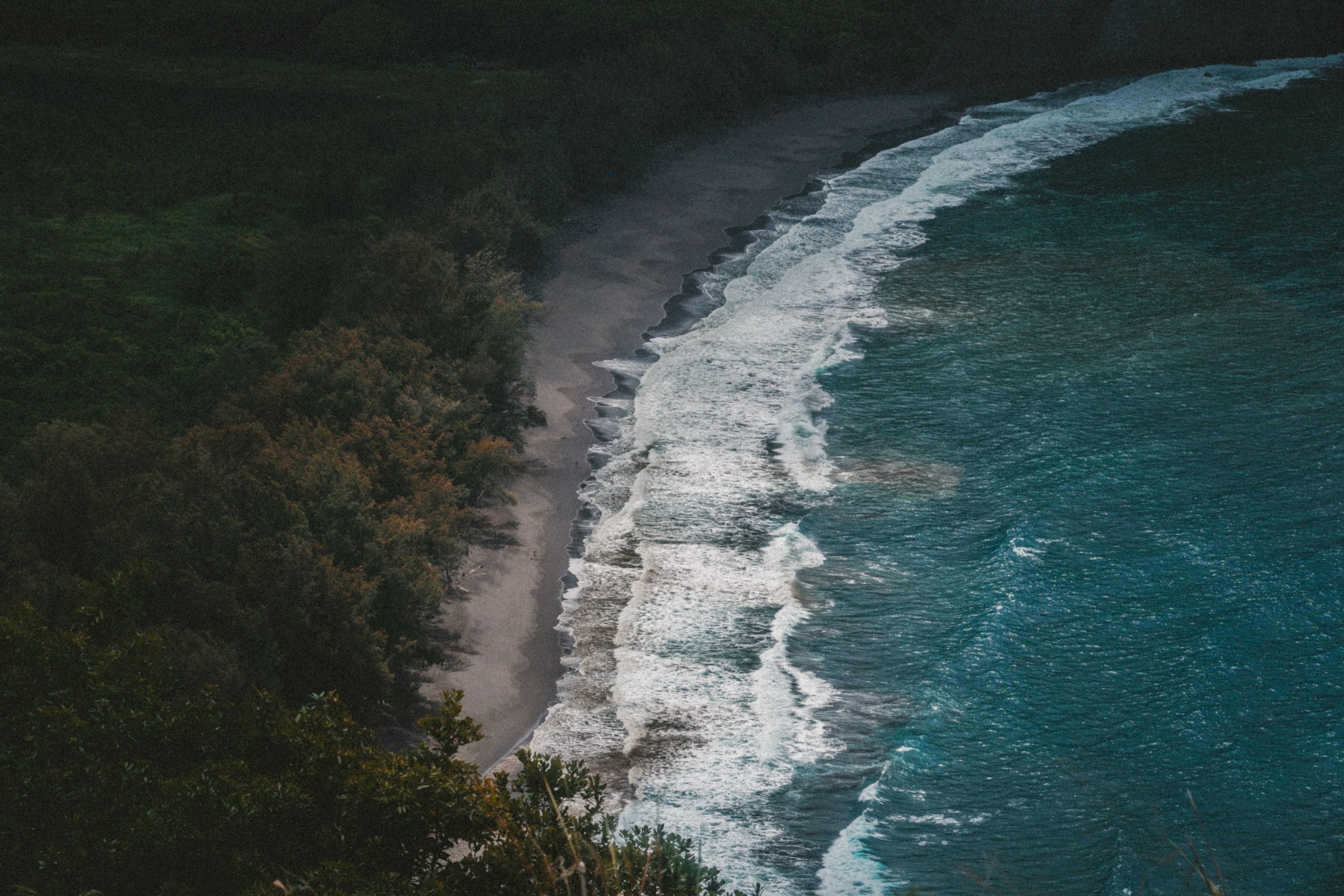 drone view of the waves washing on the sand beach by the forest, waipio 4k, HD Wallpaper