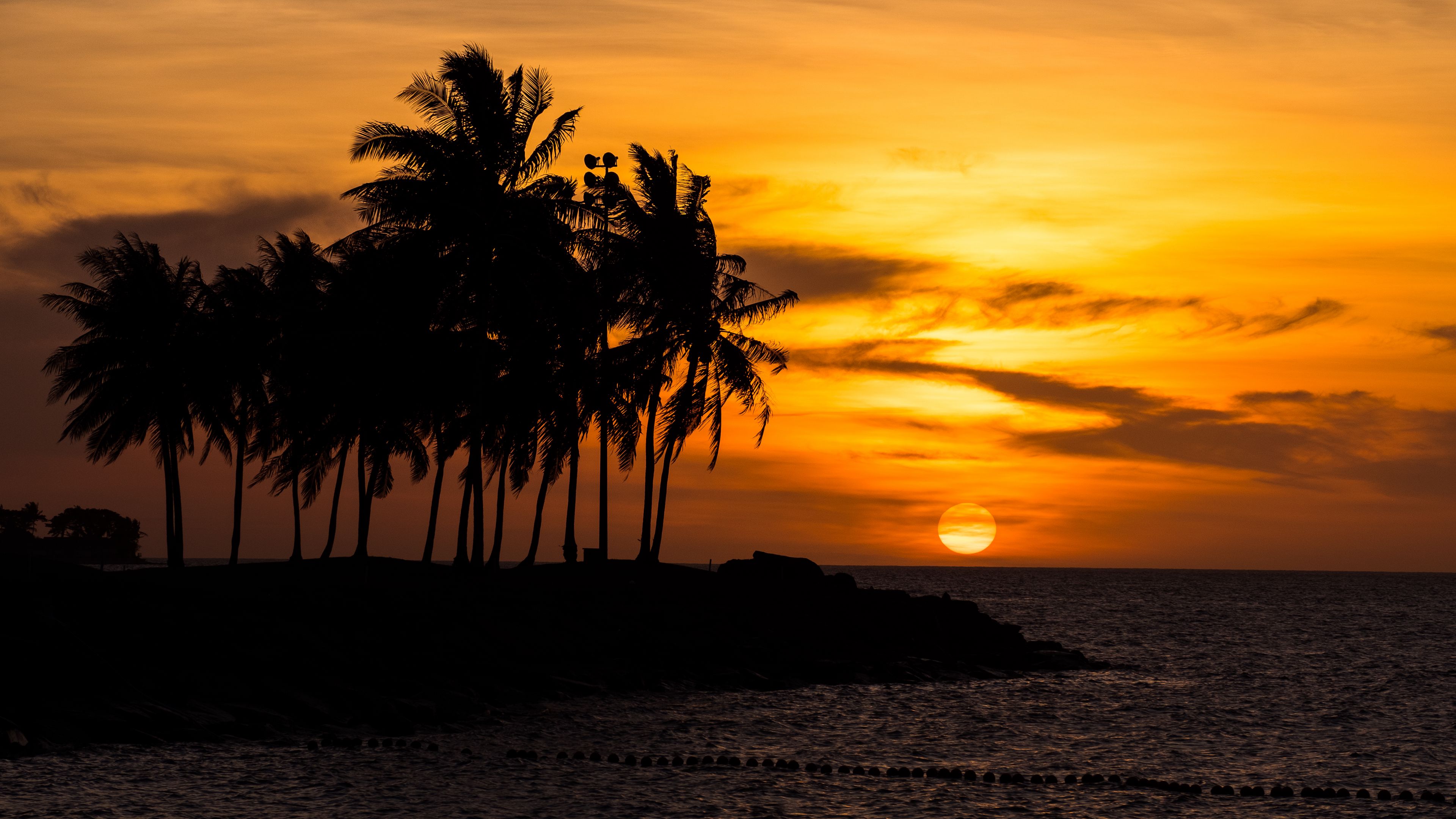 sunset, palm, sea, beach, 4k, HD Wallpaper