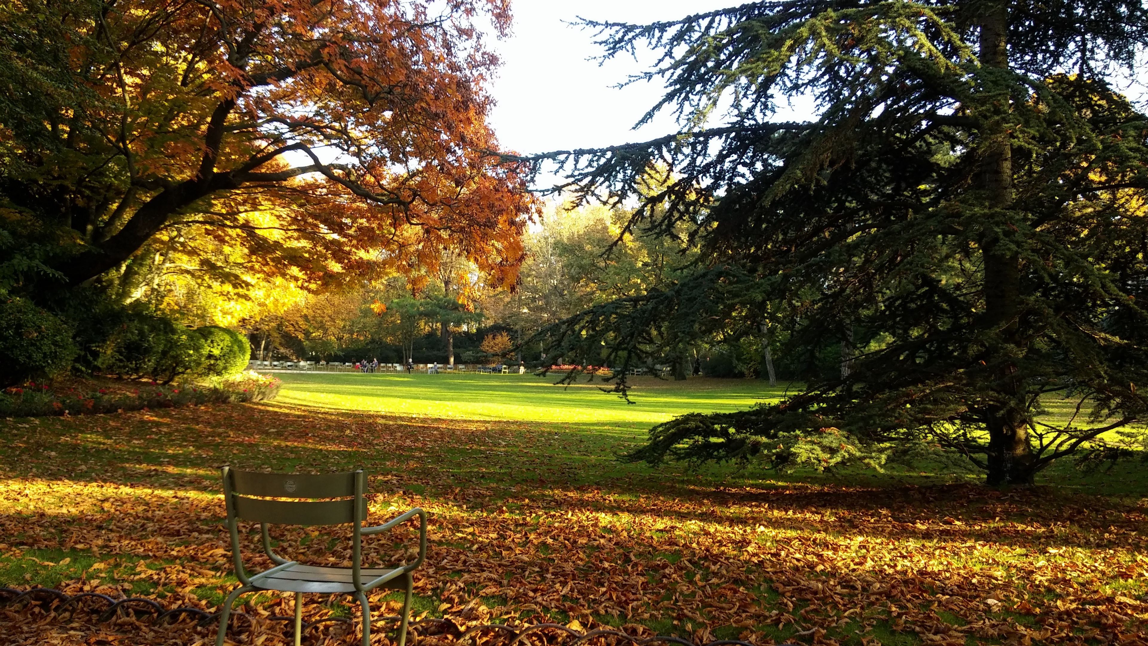 france, paris, luxembourg, park, autumn, chair, 4k, HD Wallpaper