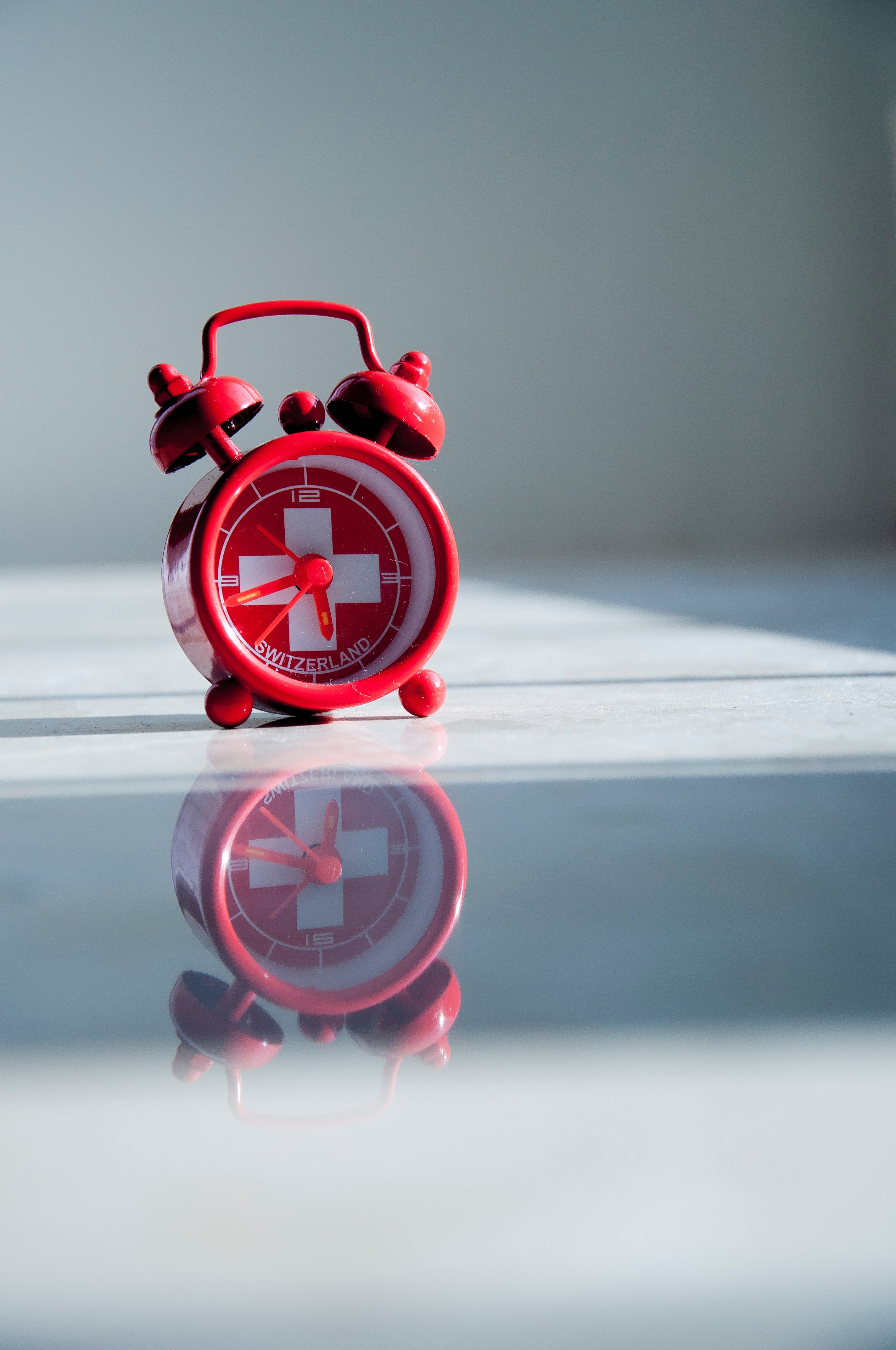 home macro red and swiss hd, 4k, Phone HD Wallpaper