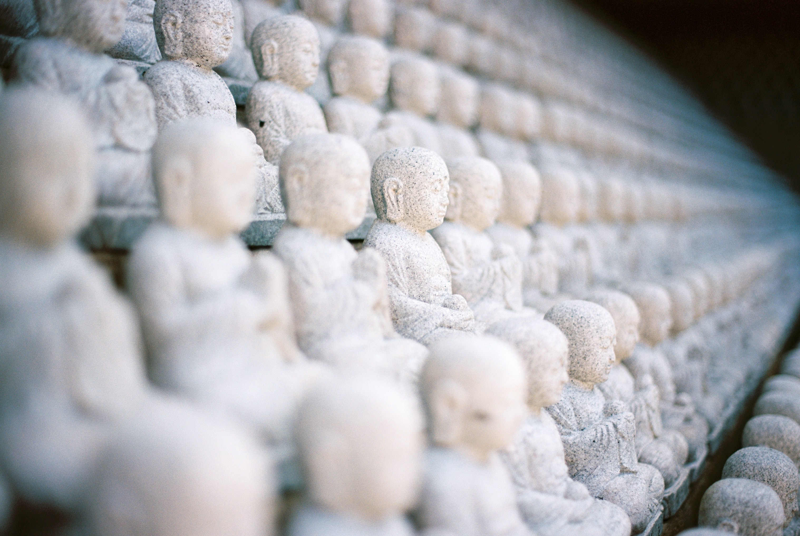 statues religion buddha and shrine 4k, HD Wallpaper