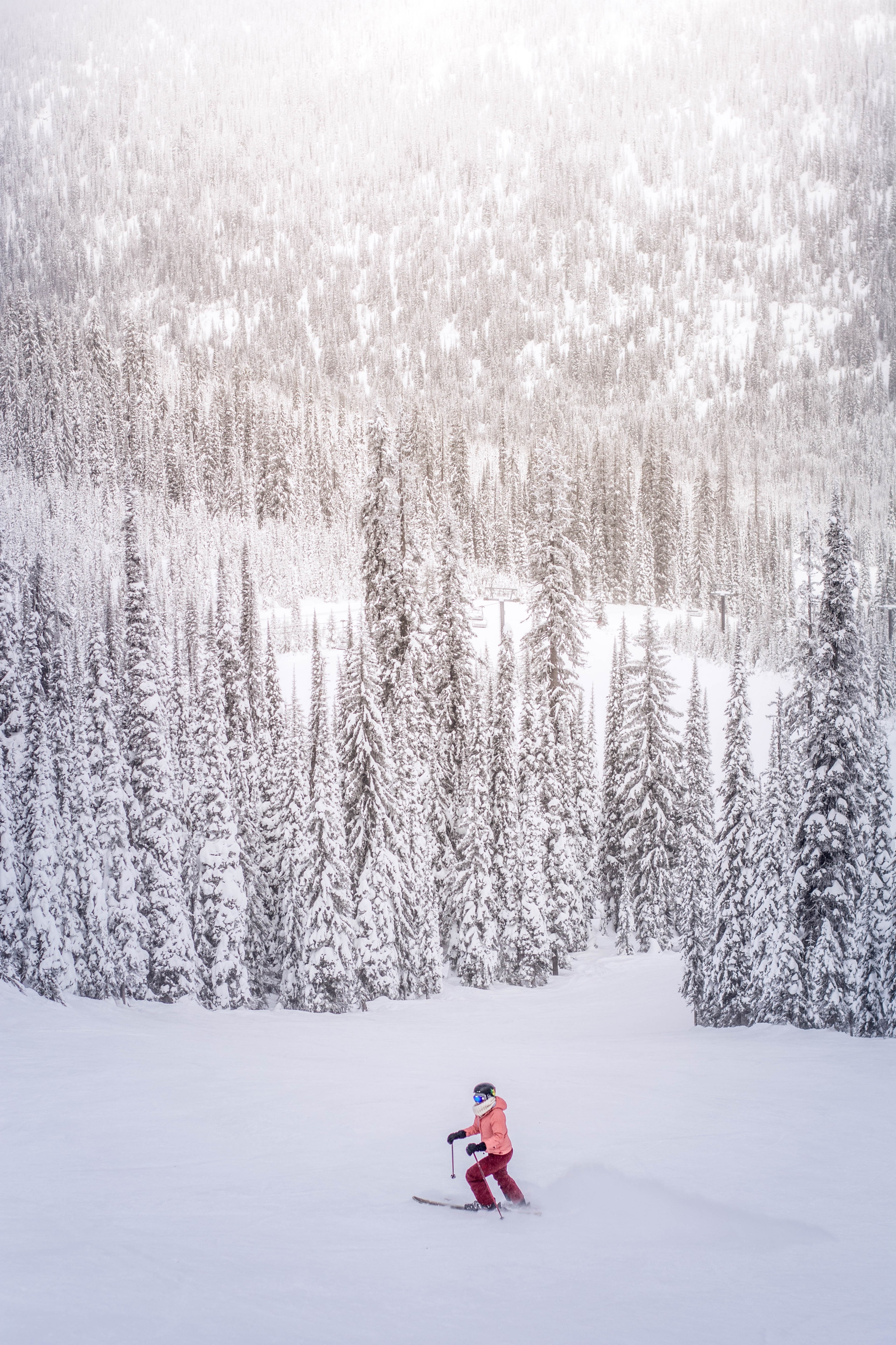 a person walking with skis in the open on a ski hill near heavily treed winter forests, winter fun 4k, Phone HD Wallpaper