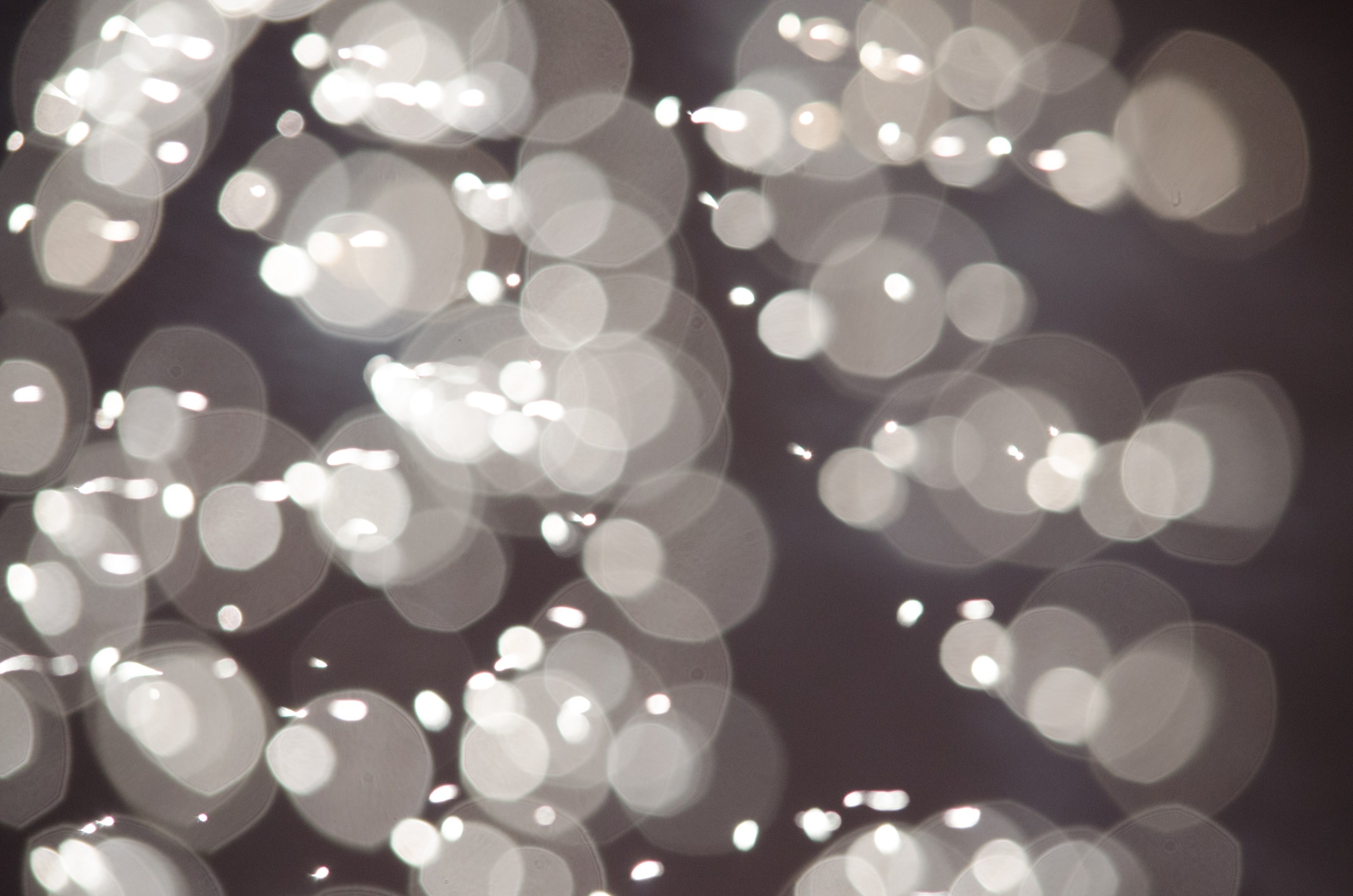 firework texture celebration and holiday 4k, HD Wallpaper