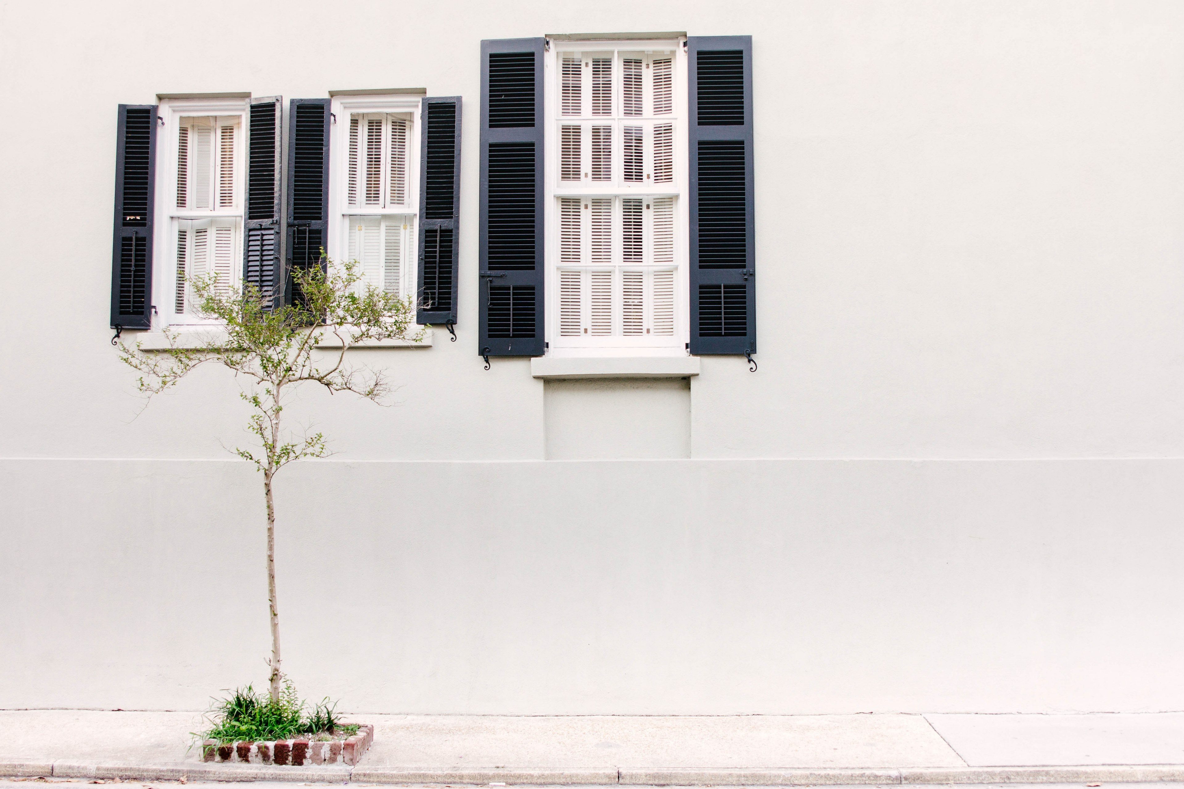 a white house with three windows that have blue shutters and a tree out front in charleston, charming 4k, HD Wallpaper