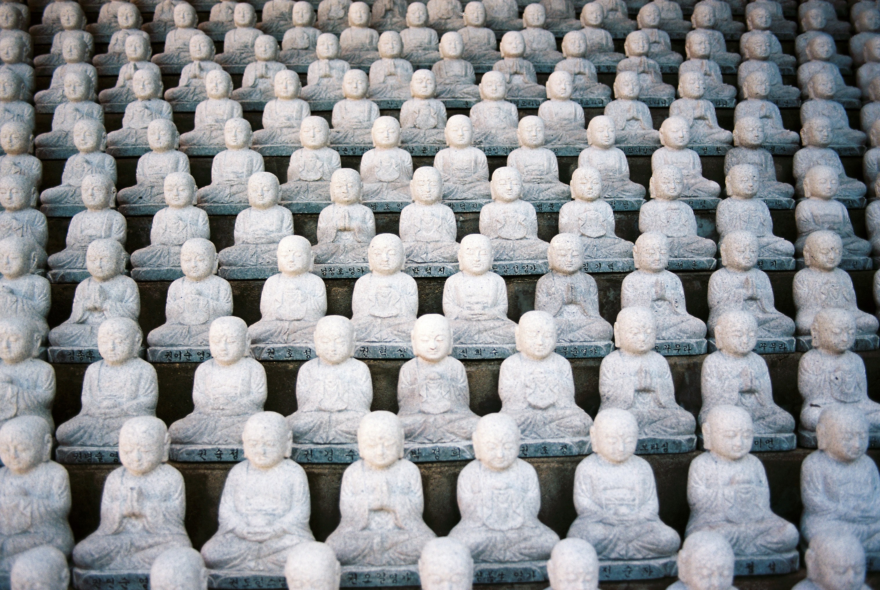 statue buddha temple and religion 4k, HD Wallpaper