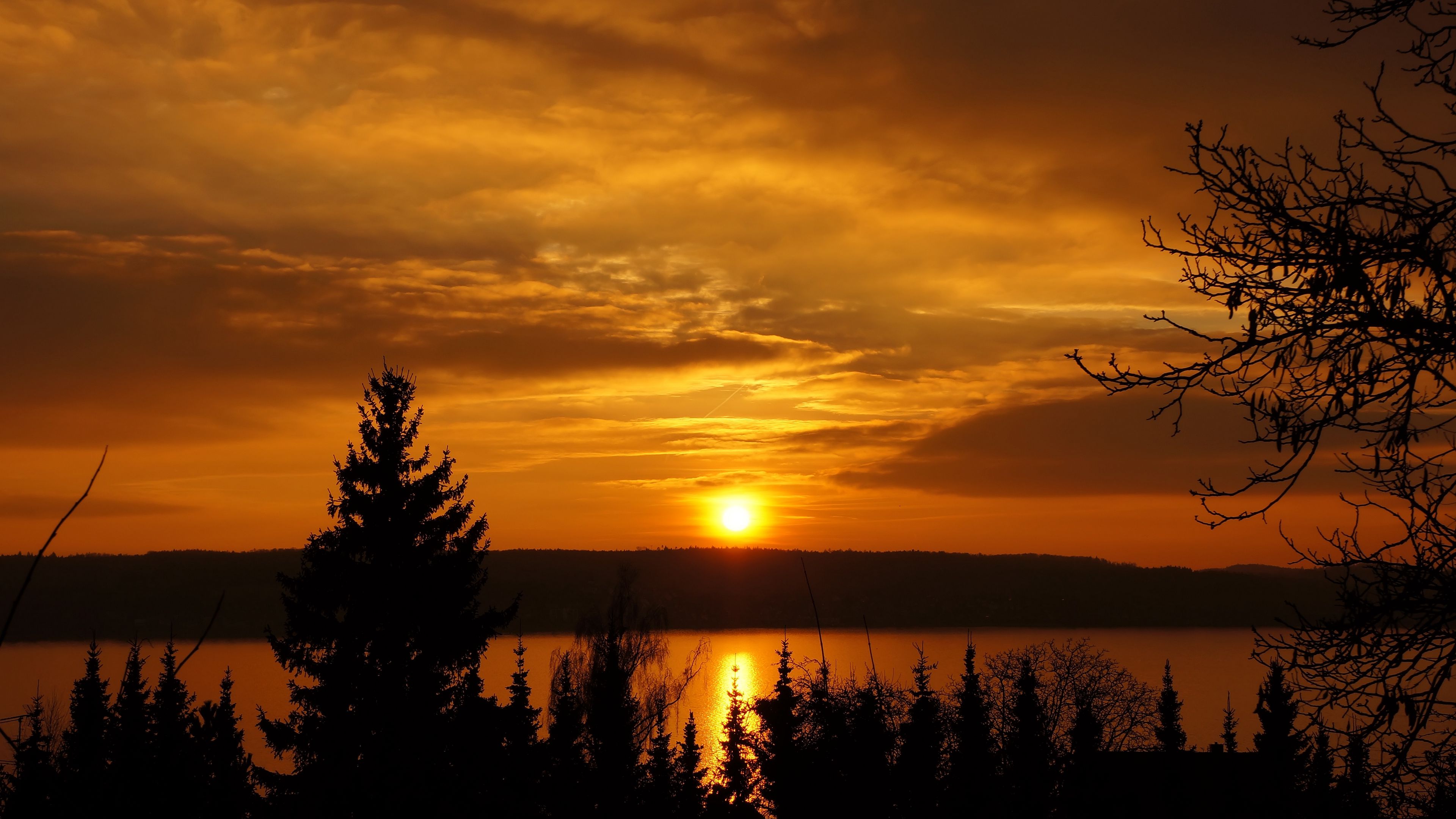 sunset, trees, sky, river, 4k, HD Wallpaper