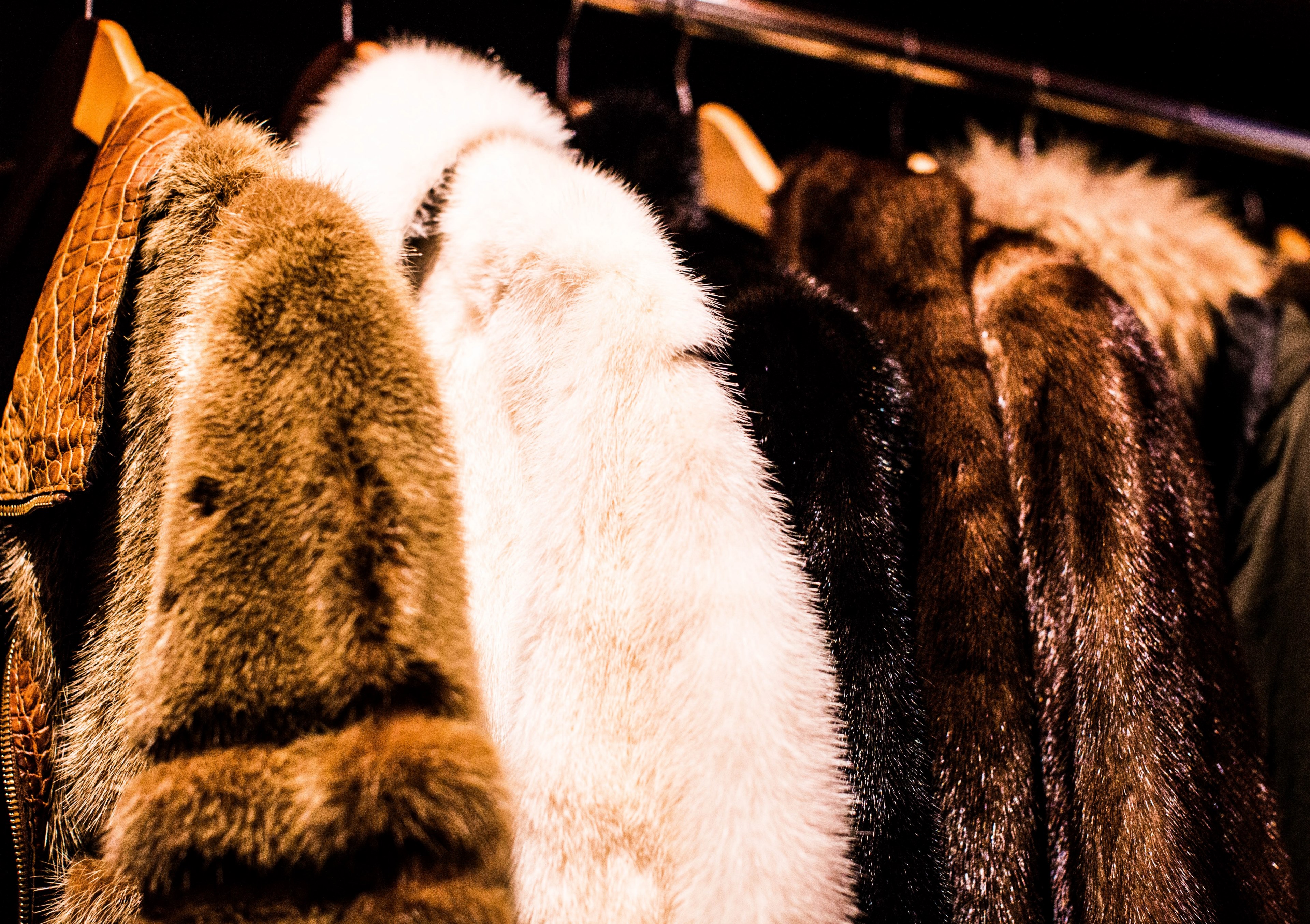 coat fur fashion and rail 4k, HD Wallpaper