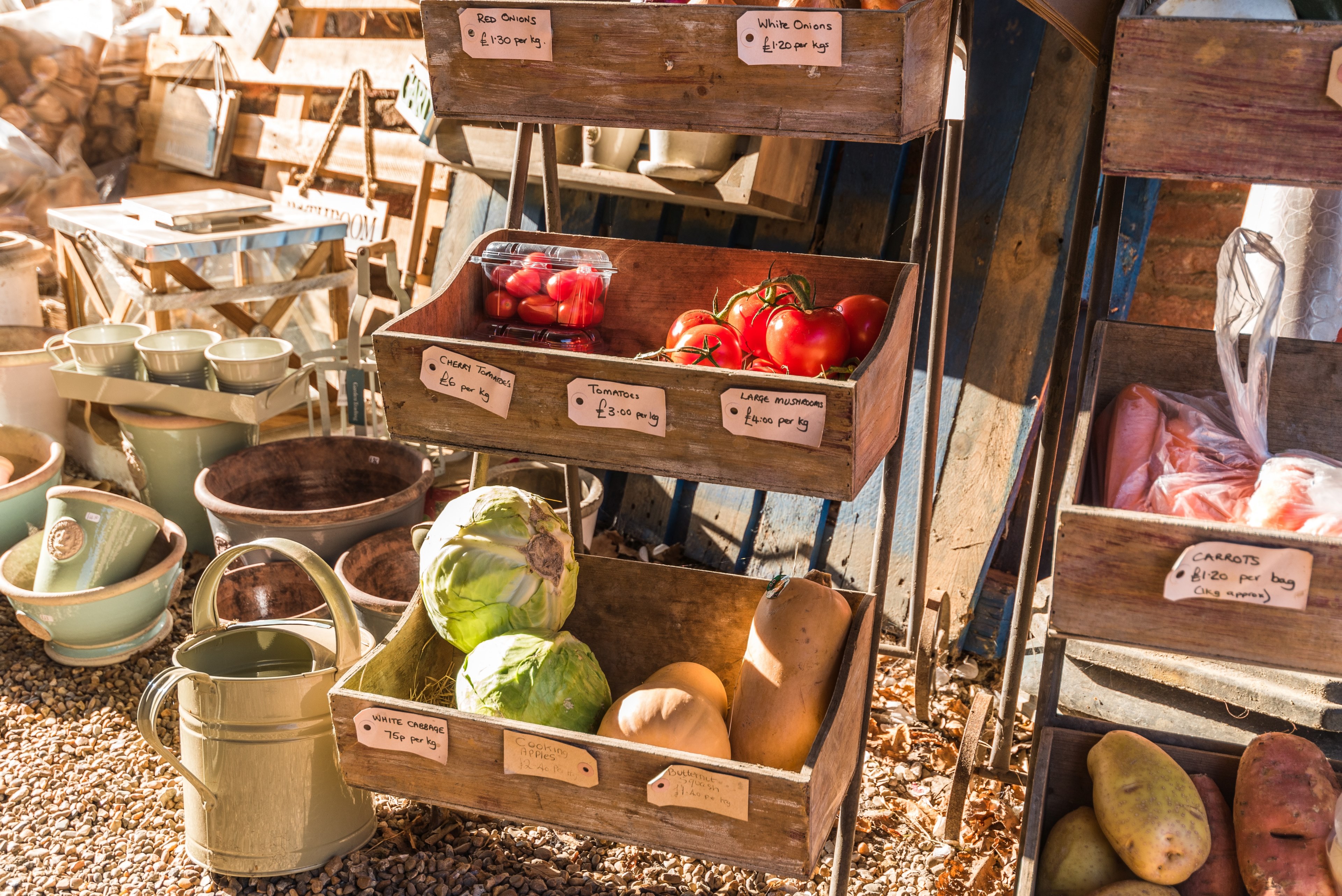 harvest festival vegetable autumn food and autumn 4k, HD Wallpaper