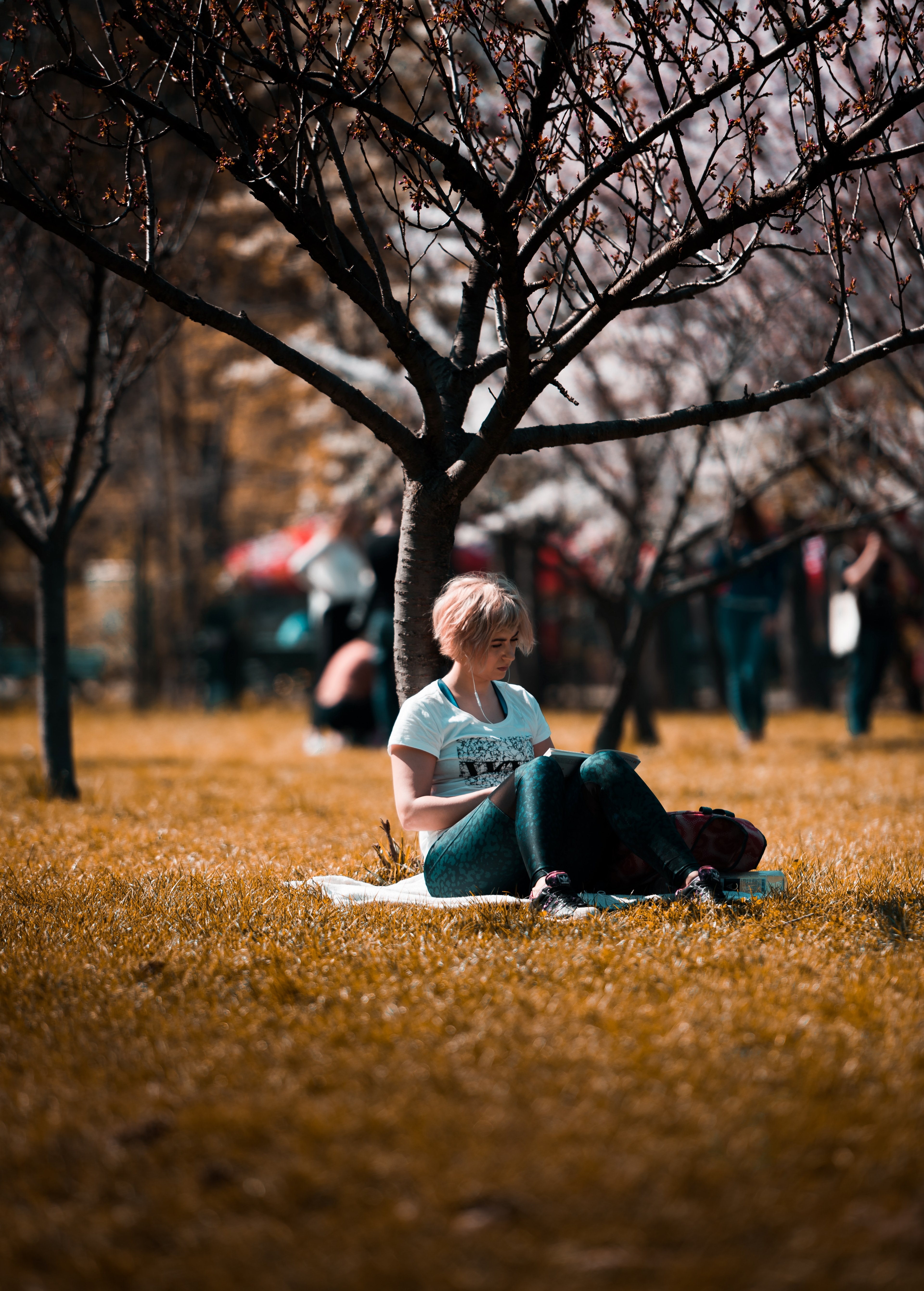 woman female park and tree hd, 4k, Phone HD Wallpaper