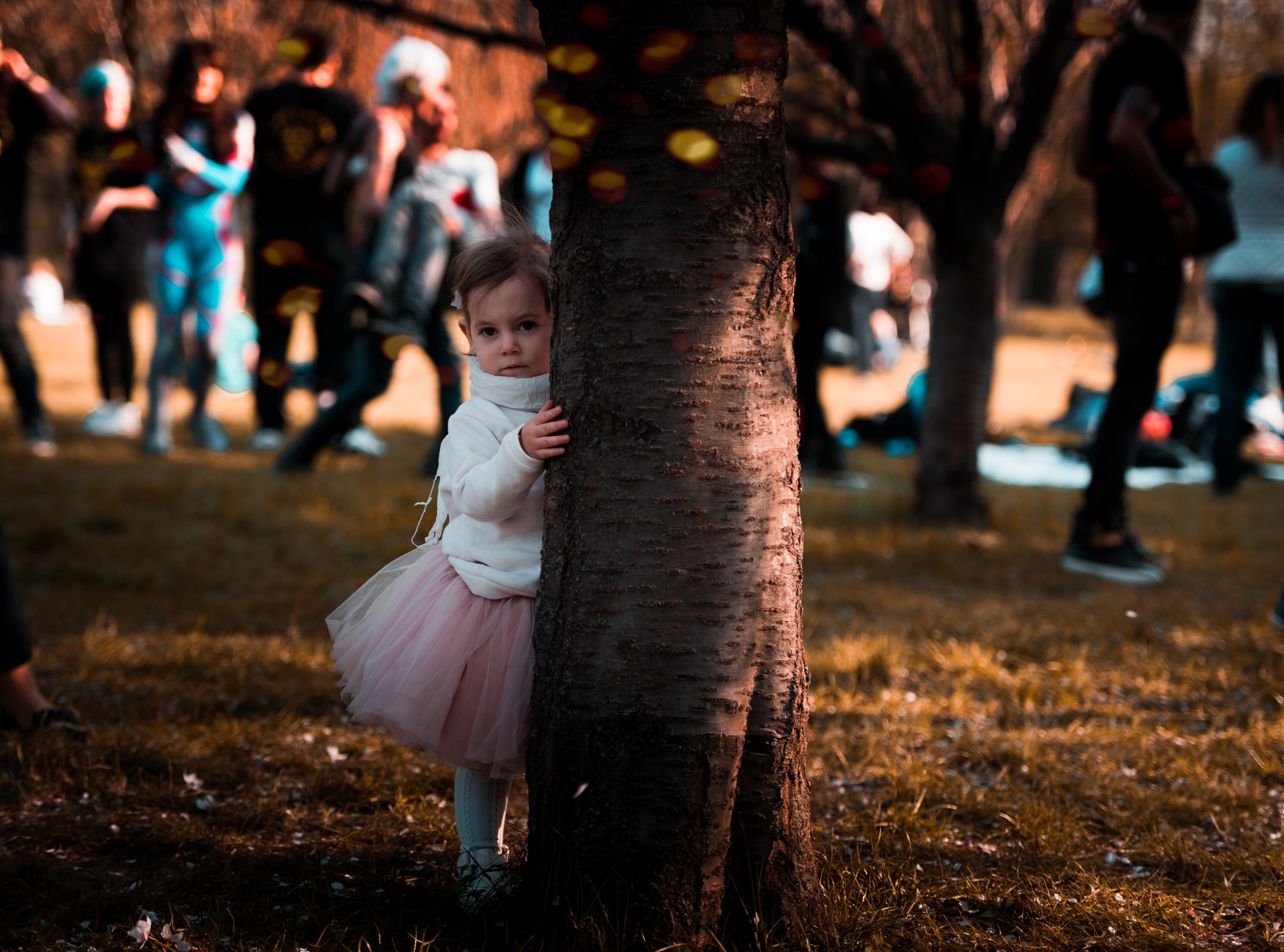 girl child toddler and tree 4k, HD Wallpaper