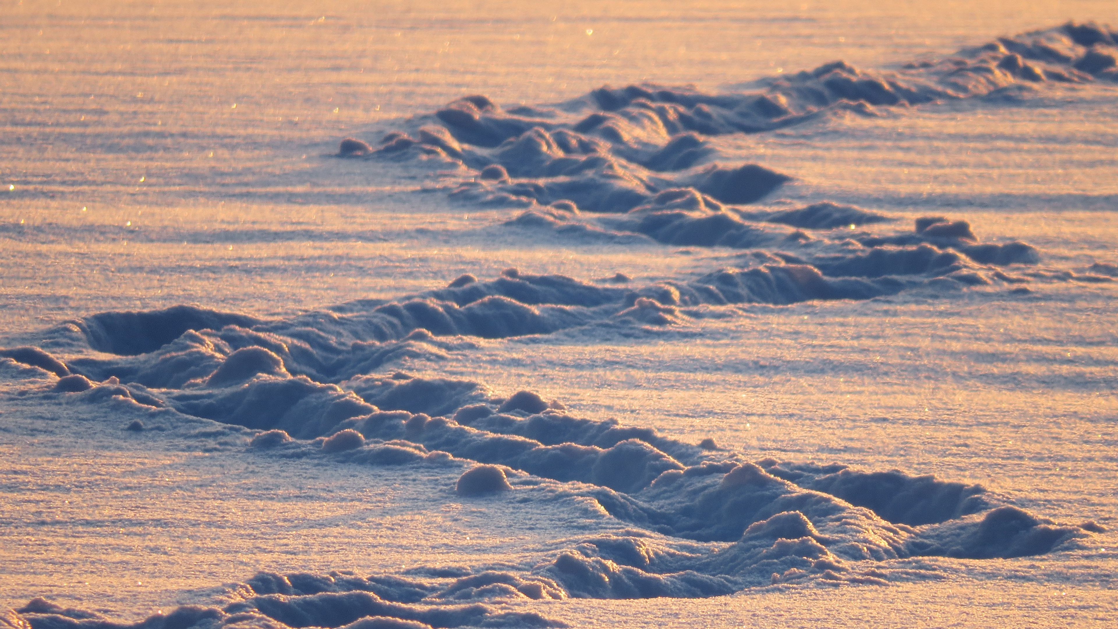 snow, traces, light, 4k, HD Wallpaper