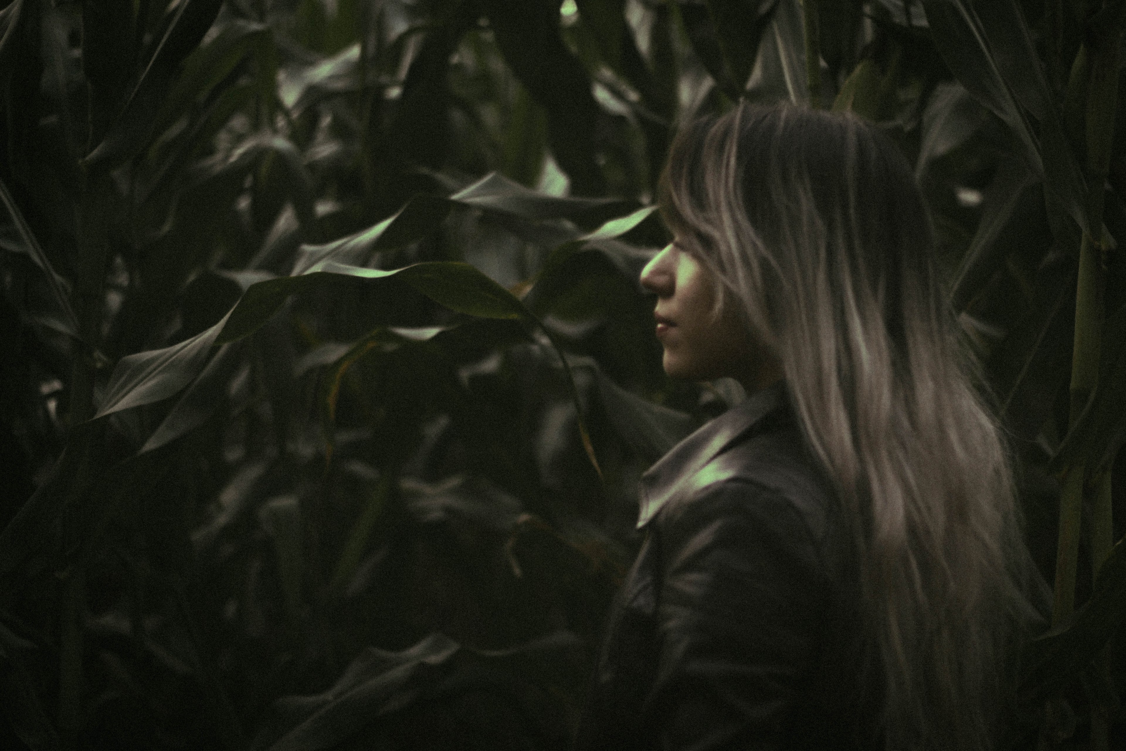 explore explorer life and hair 4k, HD Wallpaper