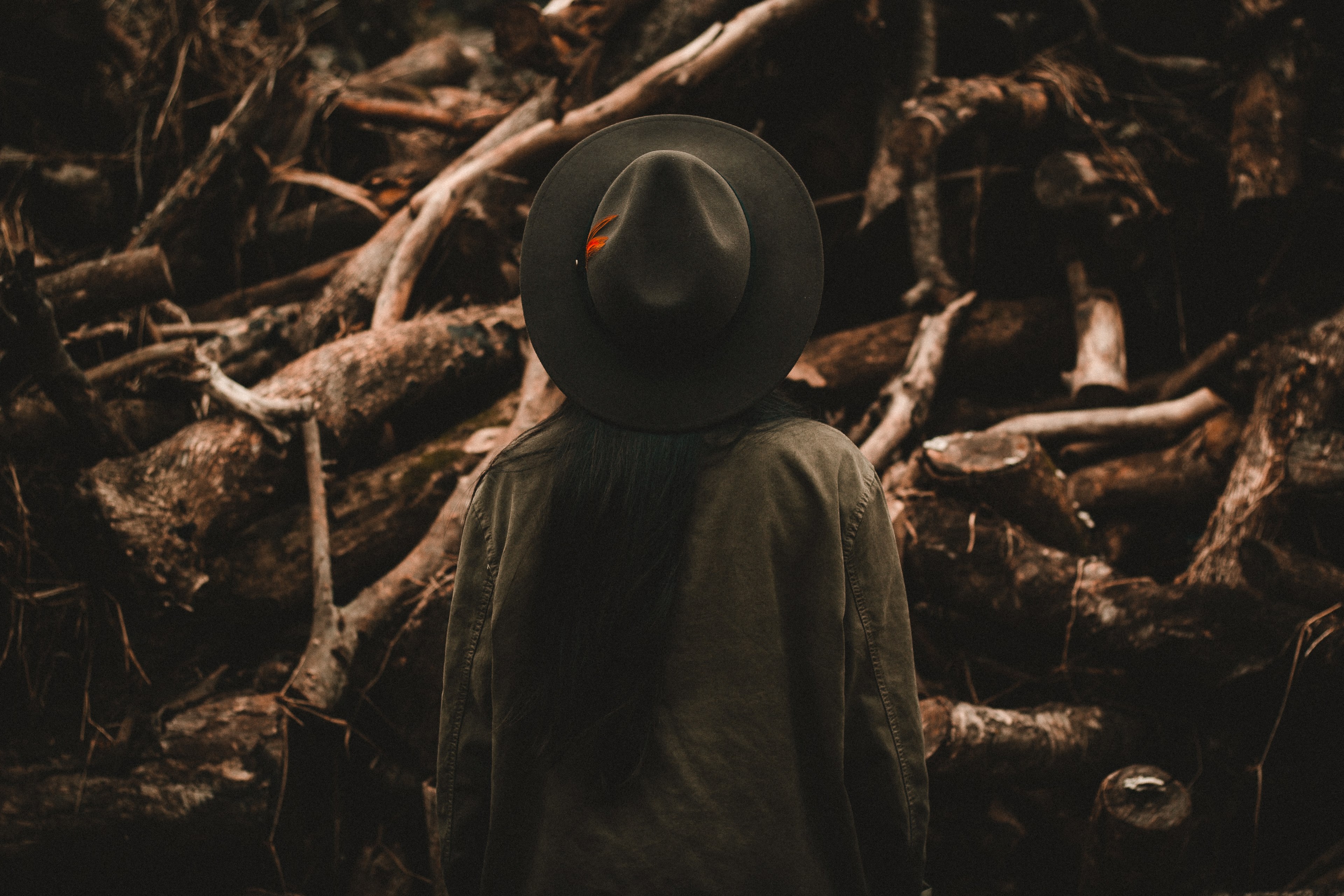 a person in a hat faces away from the camera looking at fallen trees, hat amp wood 4k, HD Wallpaper