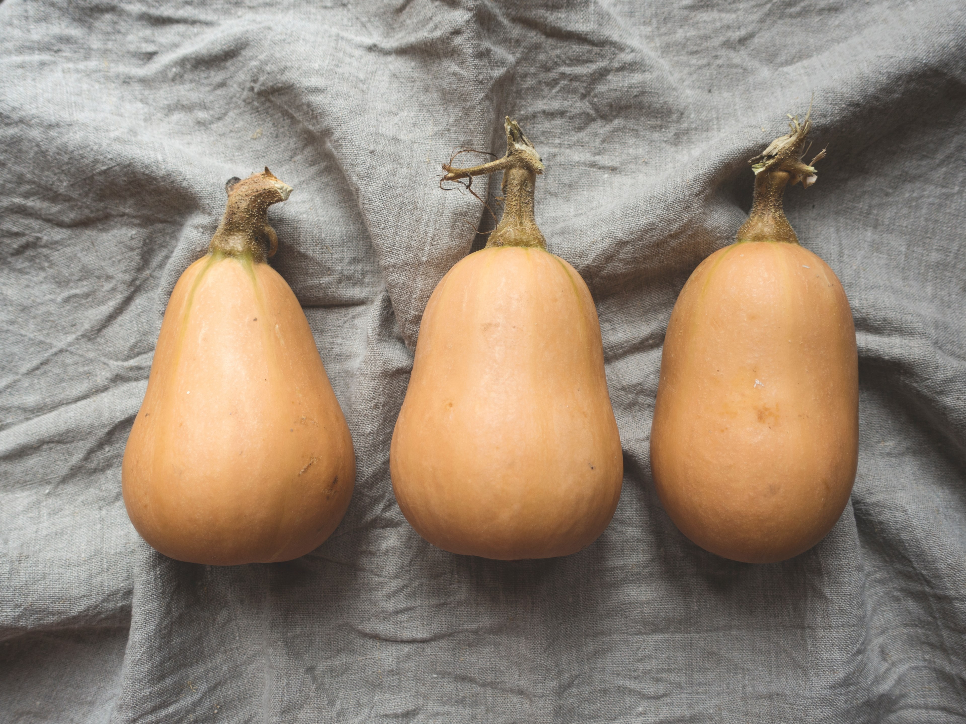 three butternut squash on a gray linen, vegetable garden harvest 4k, HD Wallpaper