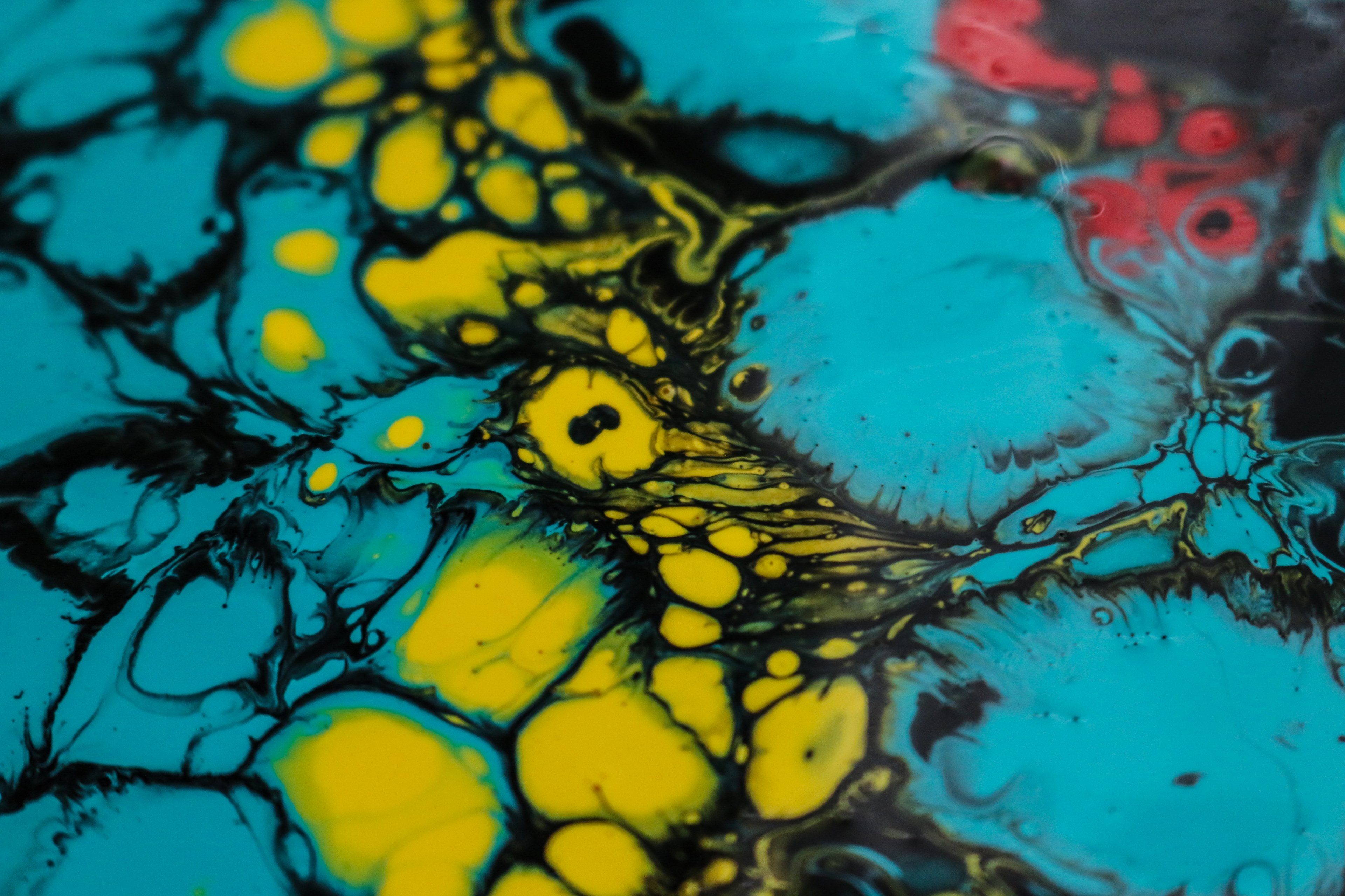 fluid painting teal and yellow 4k, HD Wallpaper