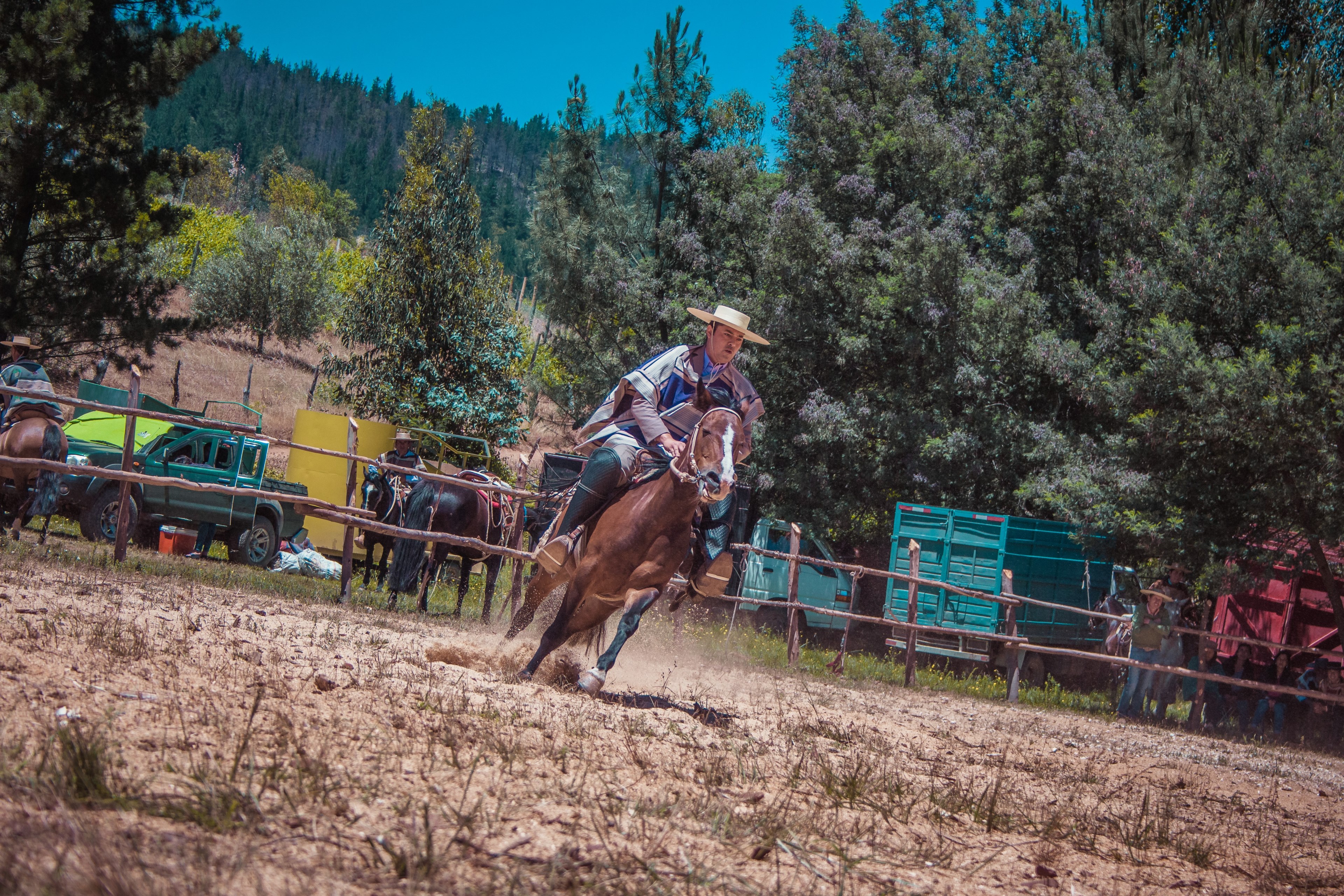 rodeo contest 4k, HD Wallpaper